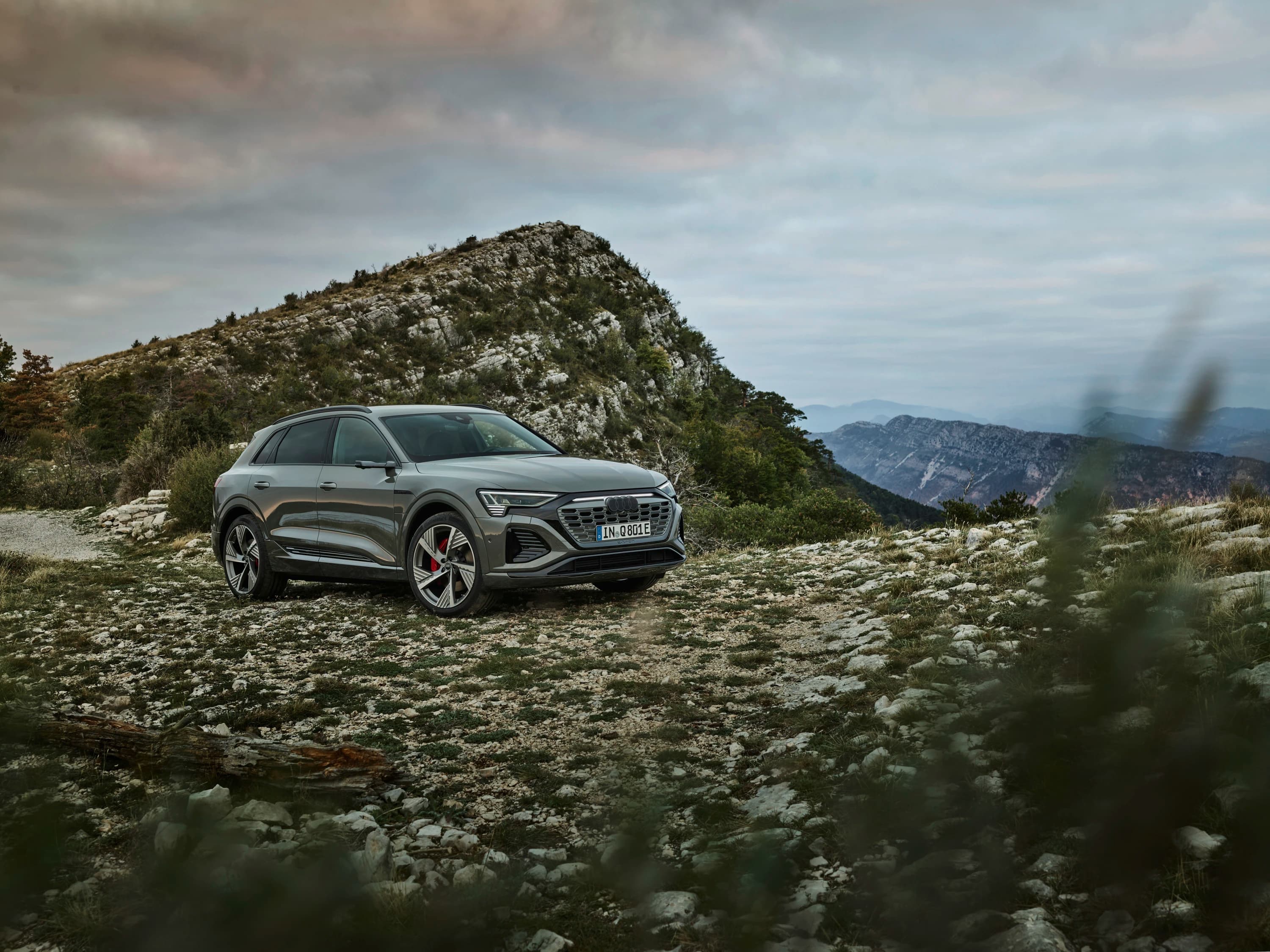 Audi Q8 55 e-tron photo