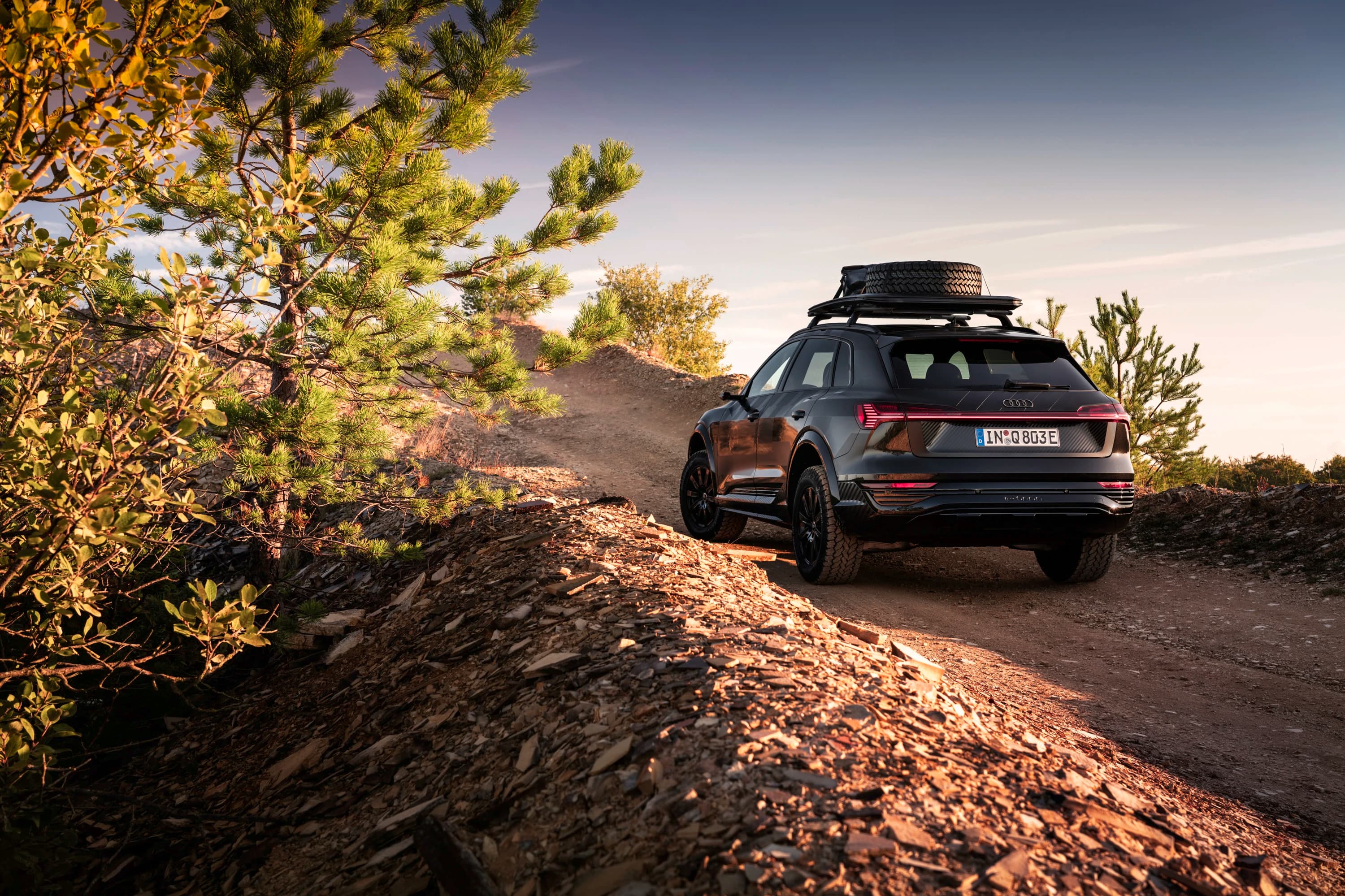 Audi Q8 e-tron edition Dakar photo