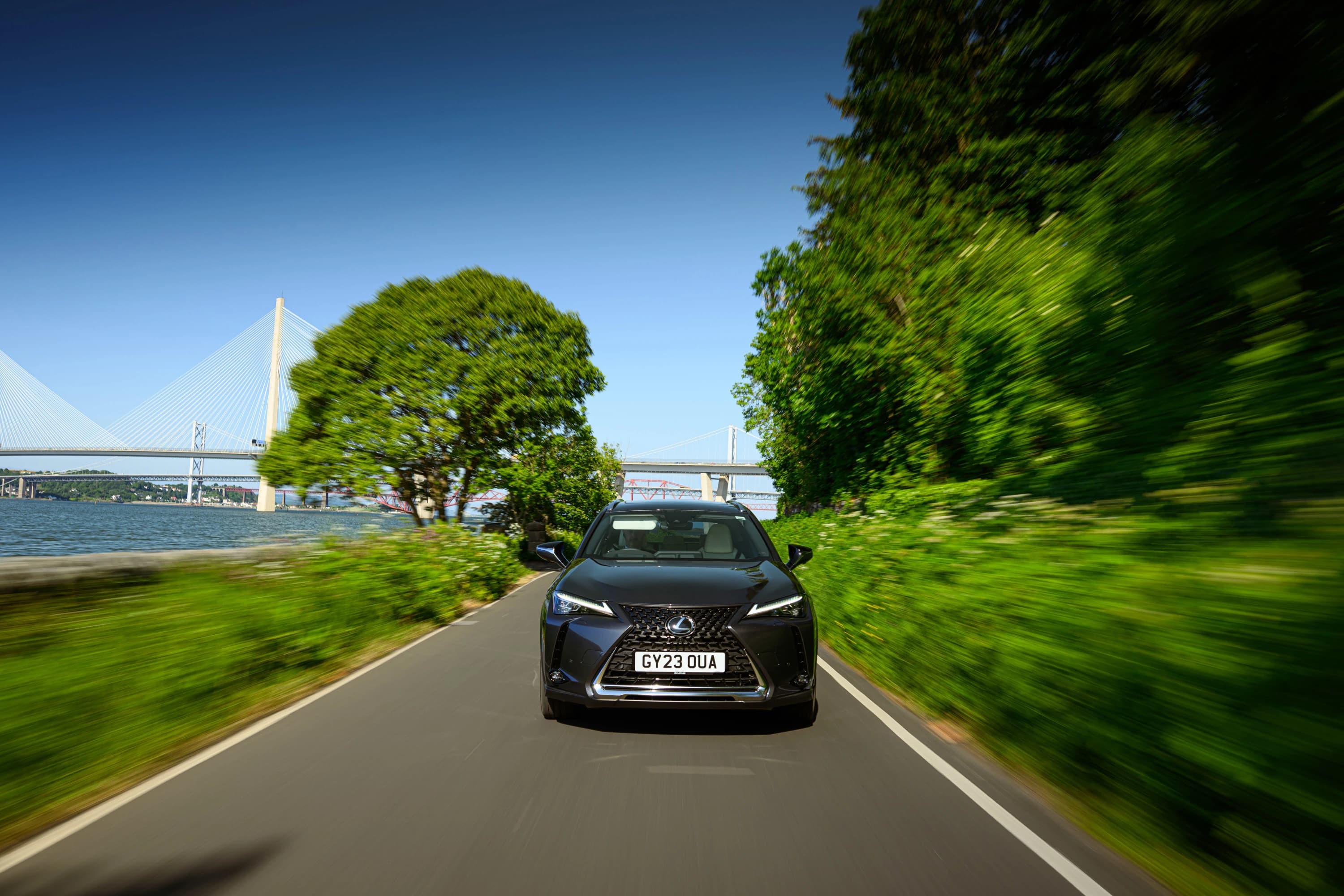 Lexus UX 300e photo