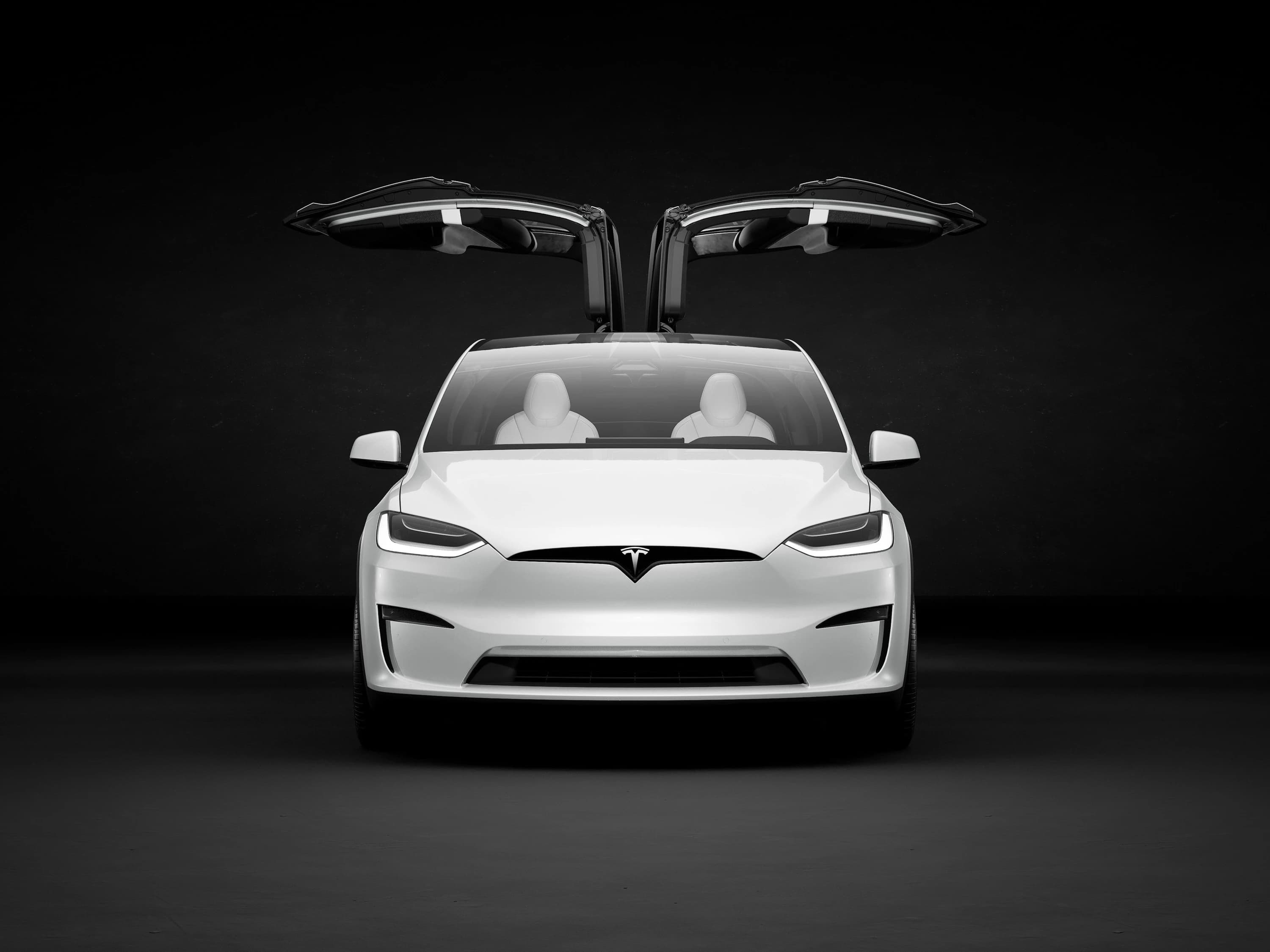 Tesla Model X Plaid photo