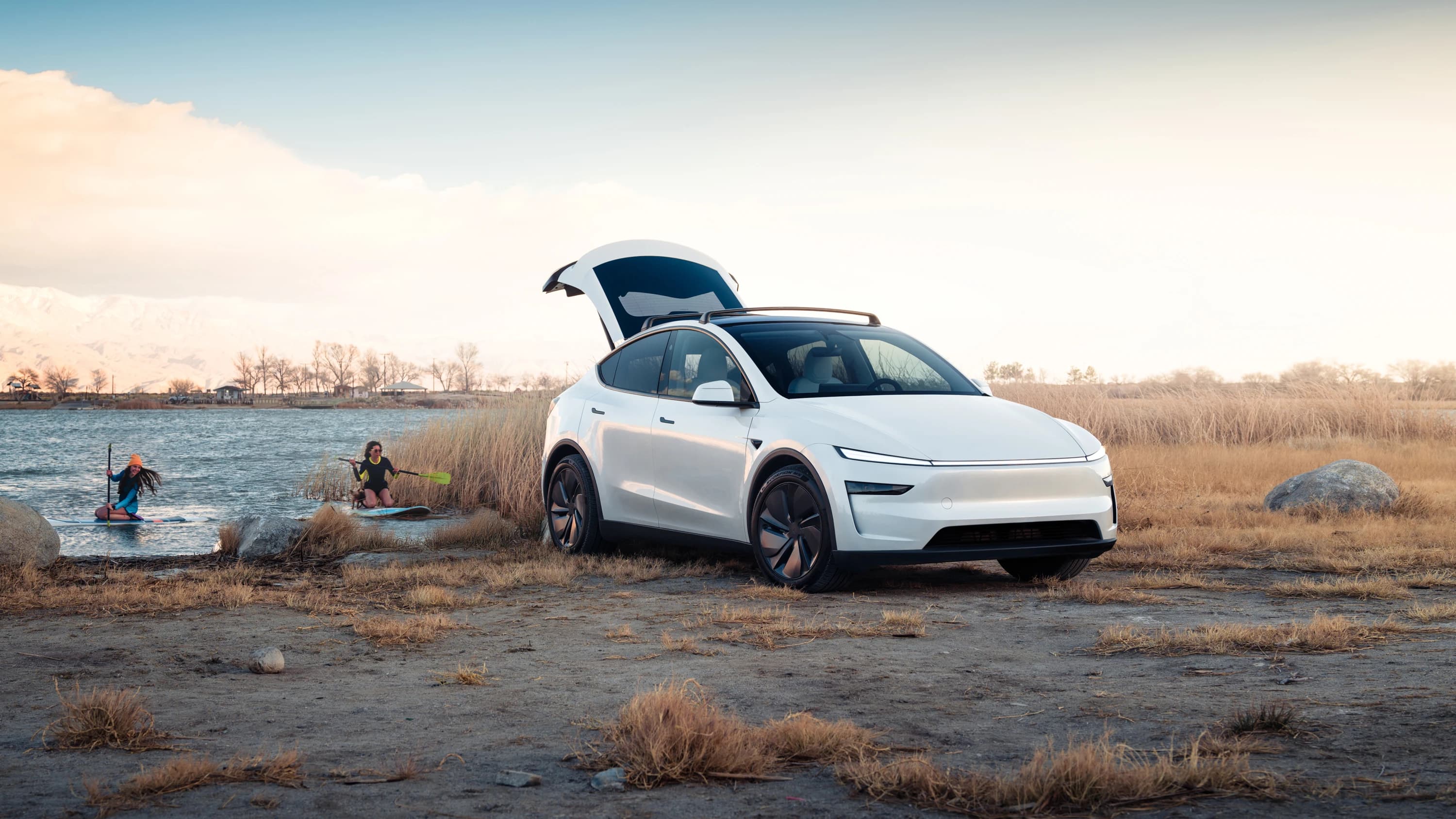 Tesla Model Y Long Range RWD photo