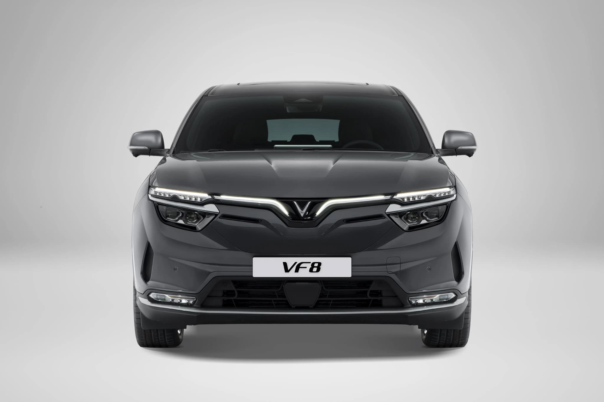 VinFast VF8 Plus photo