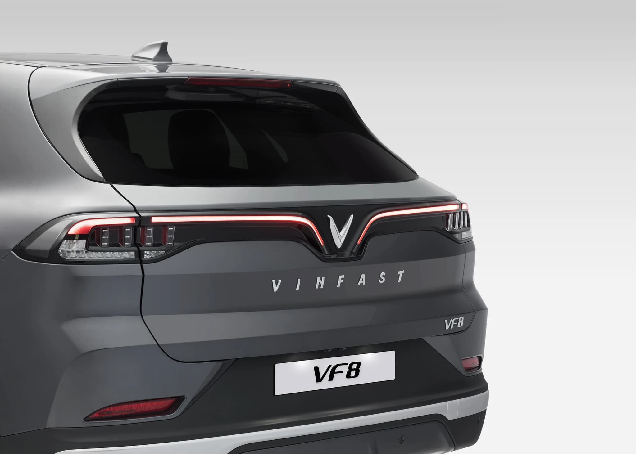 VinFast VF8 Plus photo