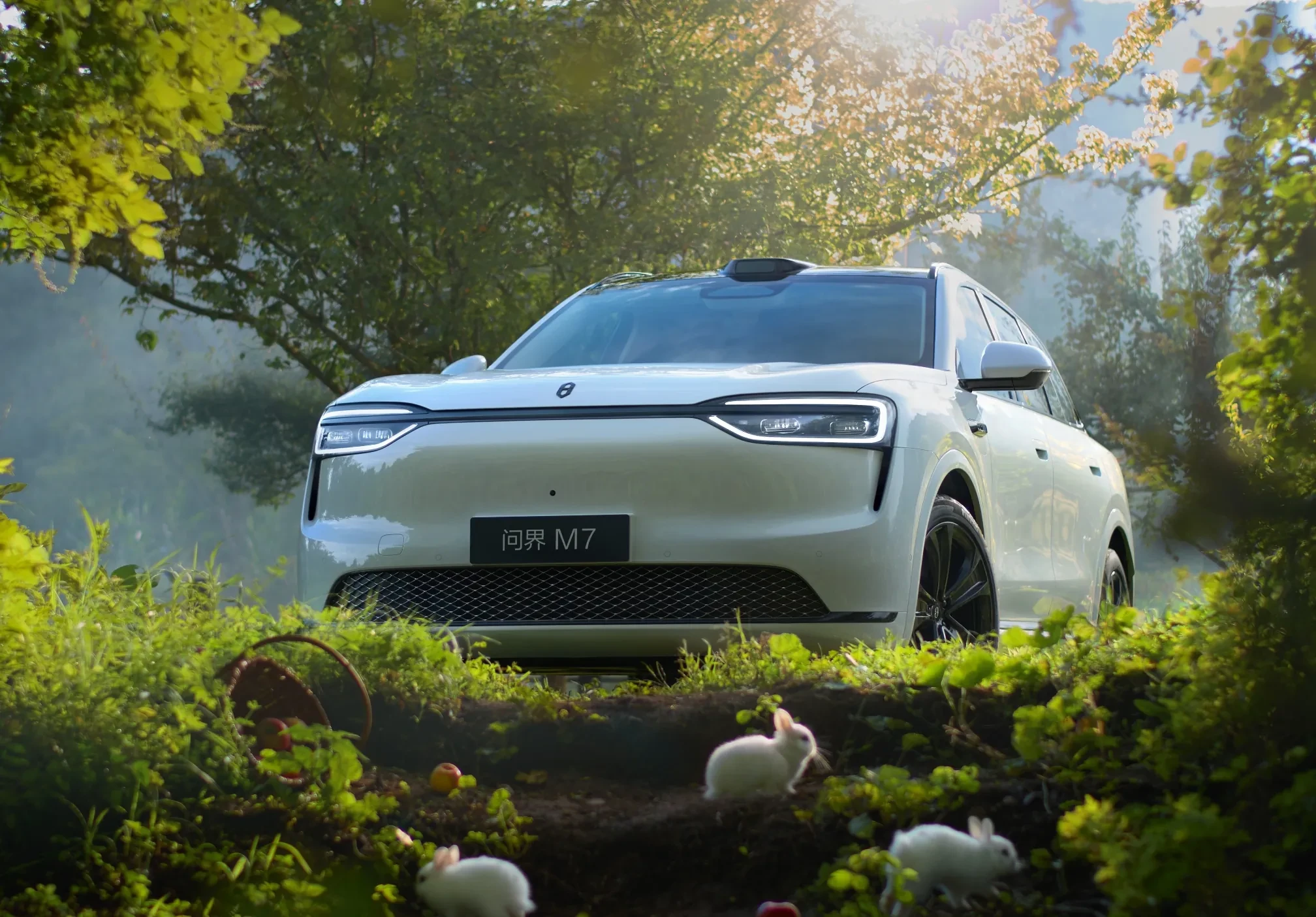 AITO M7 RWD exterior view