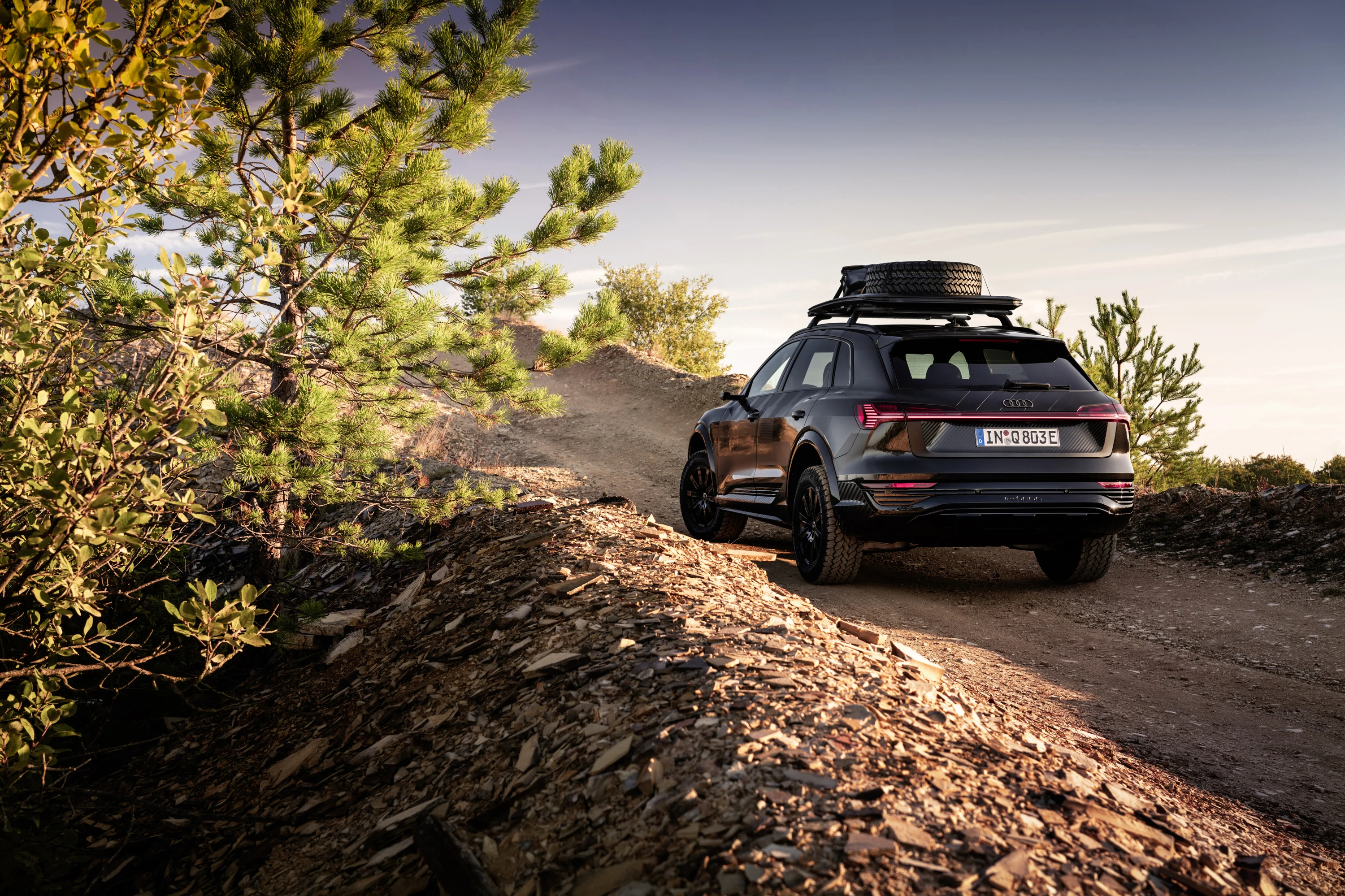 Audi Q8 e-tron edition Dakar exterior view