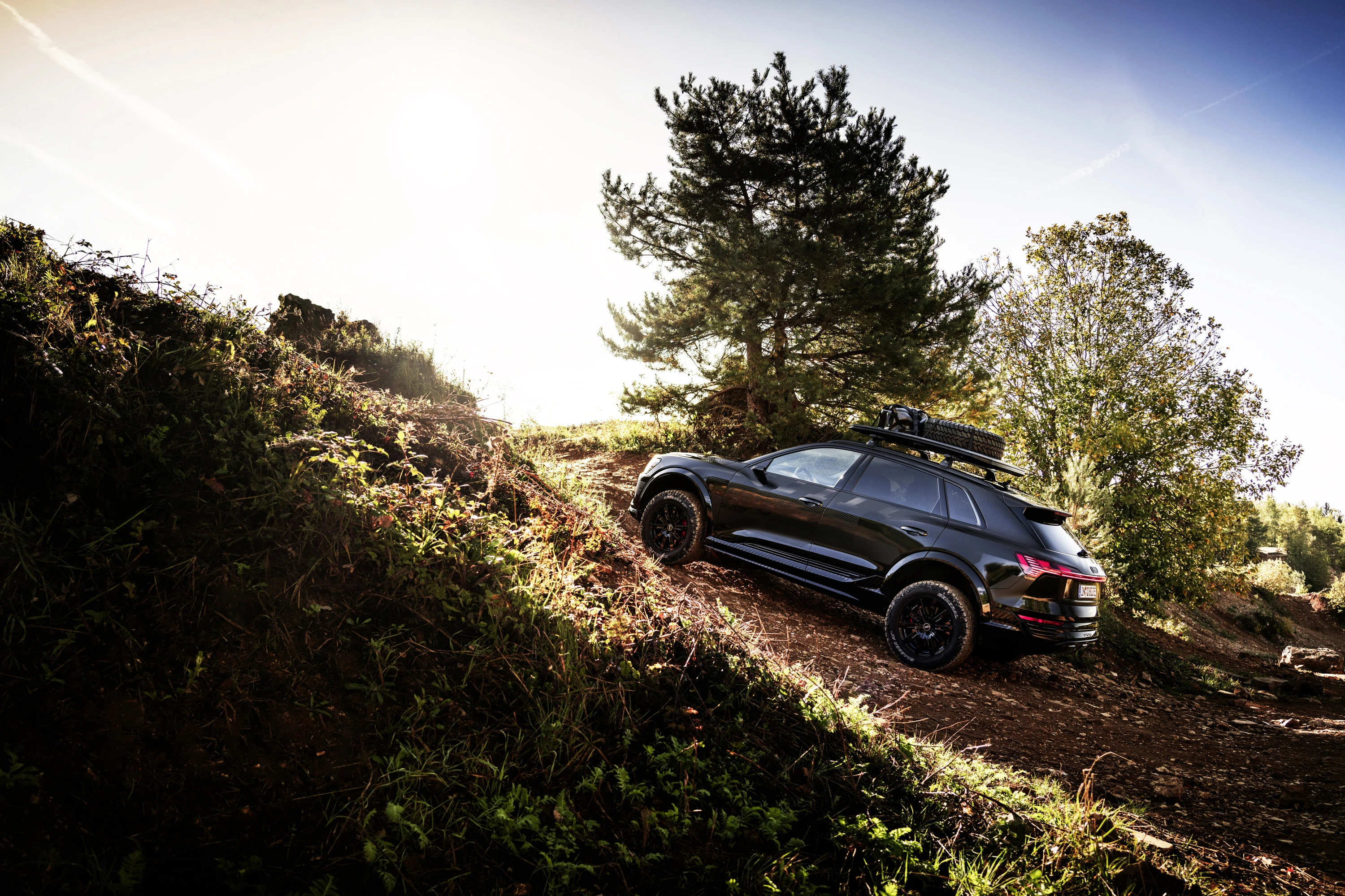 Audi Q8 e-tron edition Dakar offroad view