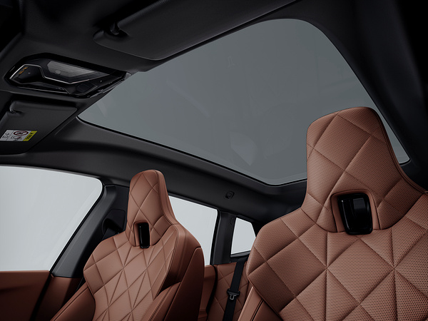 BMW iX xDrive60 roof view