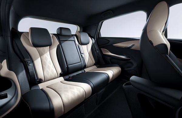 BYD Dolphin 60.4kWh secondrowseats view