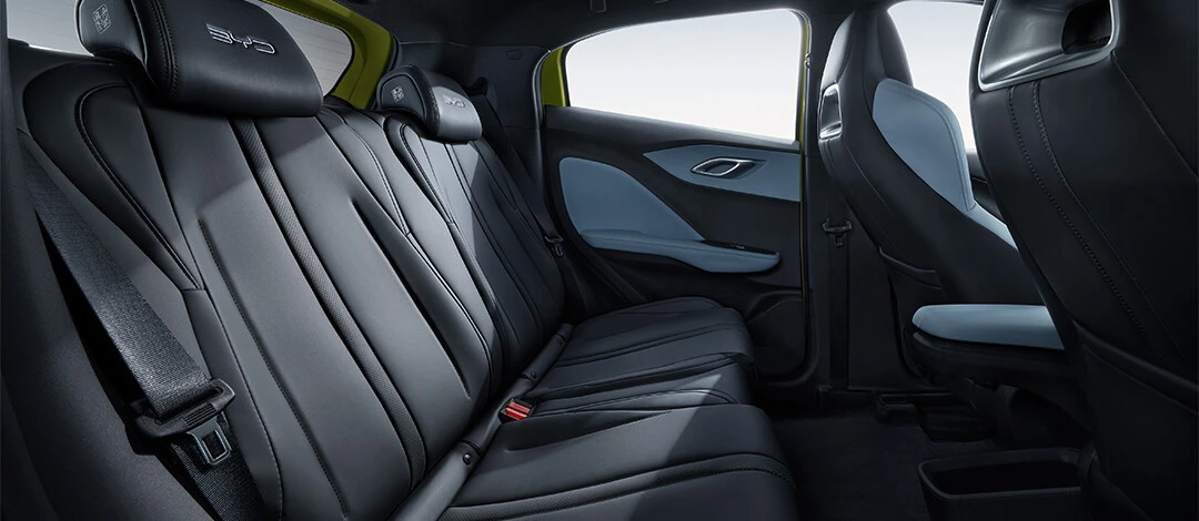 BYD Dolphin Mini GS secondrowseats view