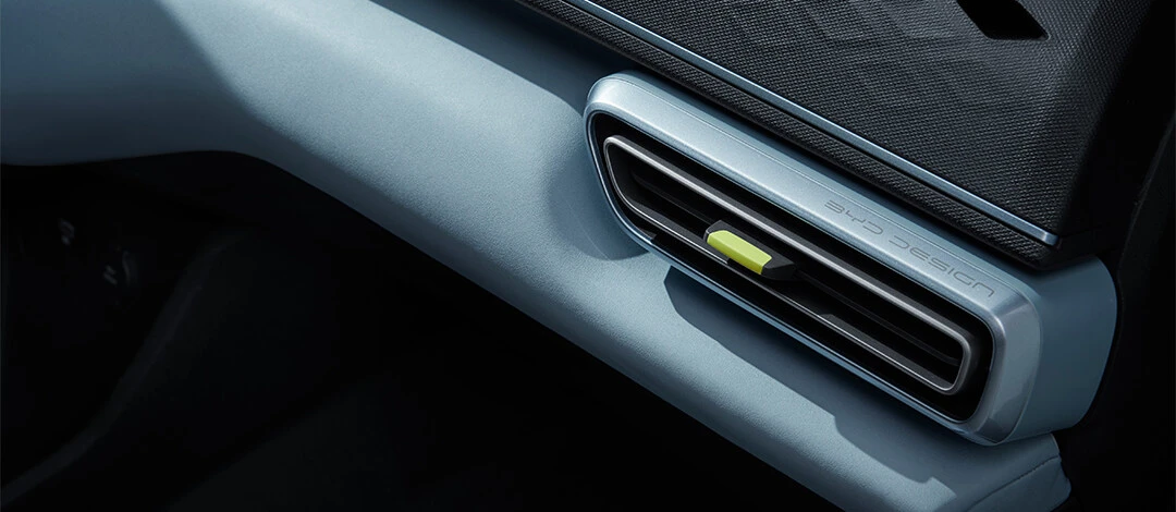 BYD Dolphin Mini GS details view