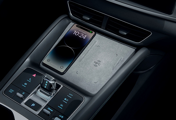 BYD Sealion 7 Excellence details view