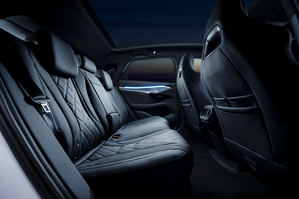 BYD Sealion 7 Excellence secondrowseats view