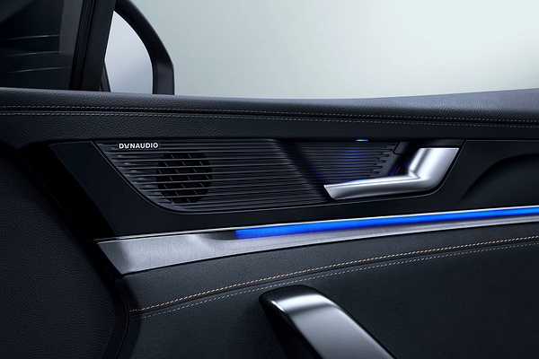 BYD Tang 4x4 Long Range speakers view