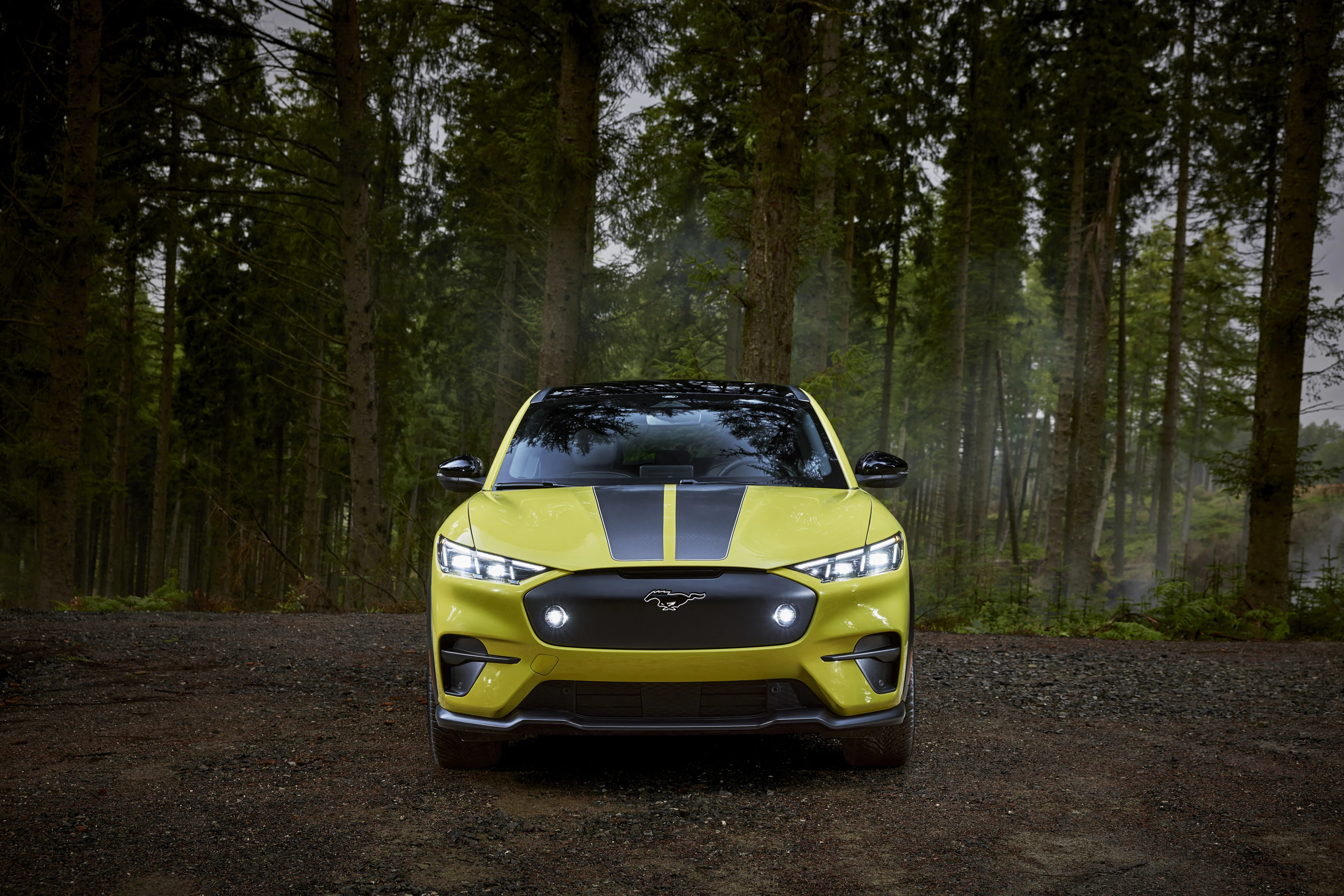 Ford Mustang Mach-E Rally exterior view