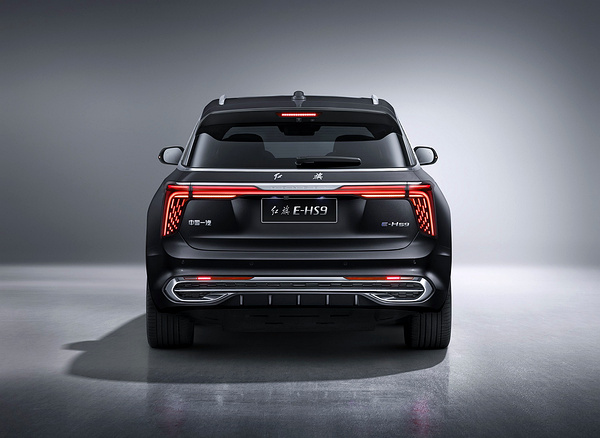 Hongqi E-HS9 Comfort exterior view