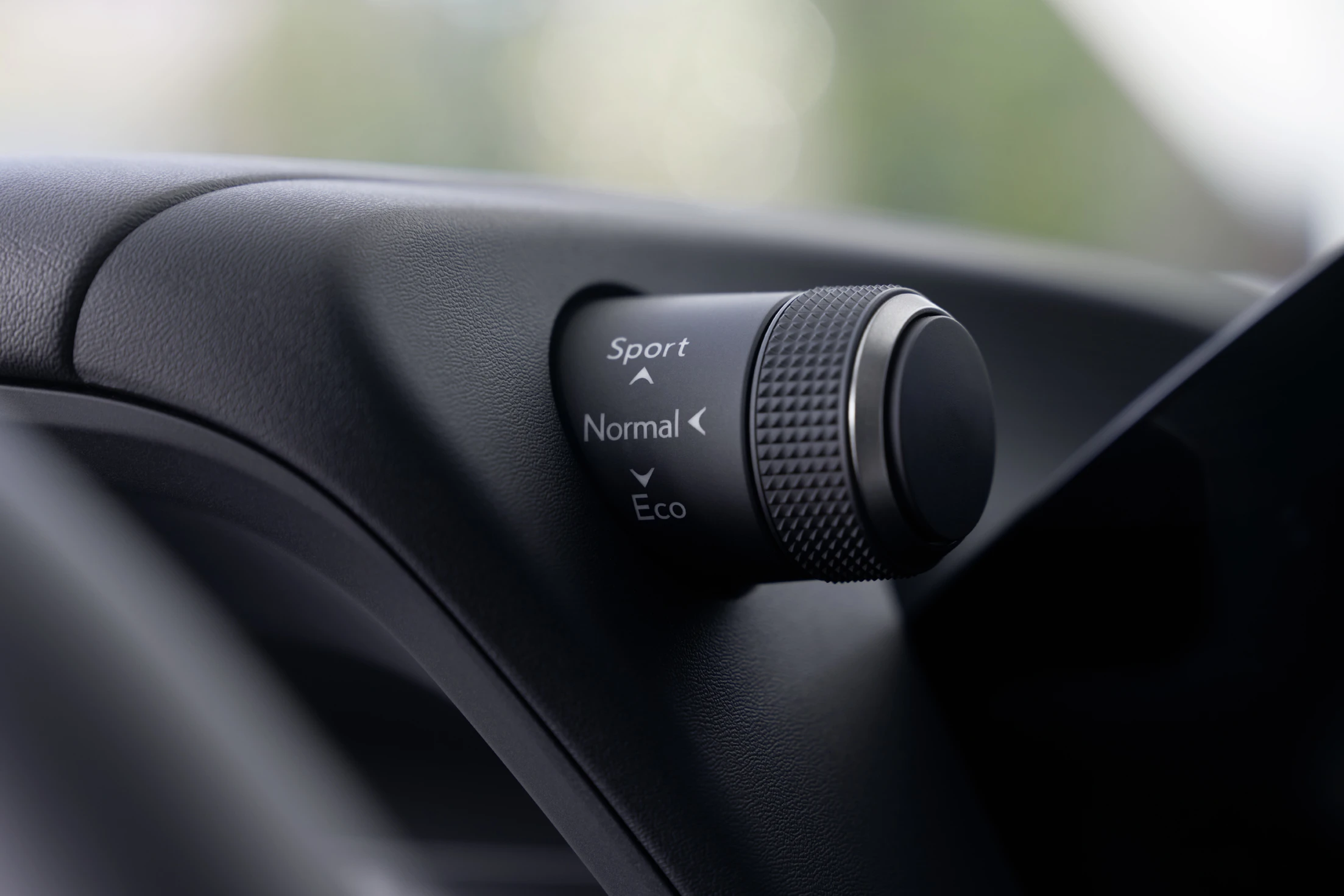 Lexus UX 300e details view