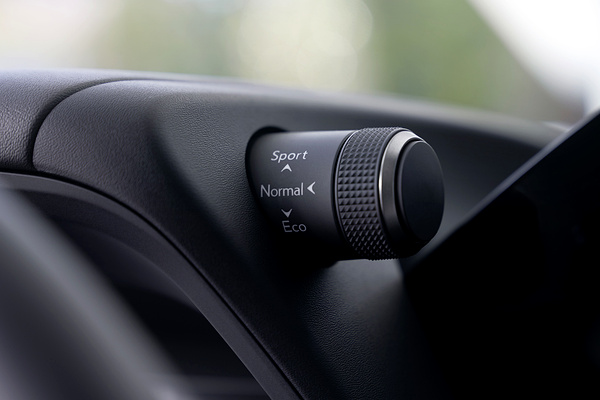 Lexus UX 300e details view