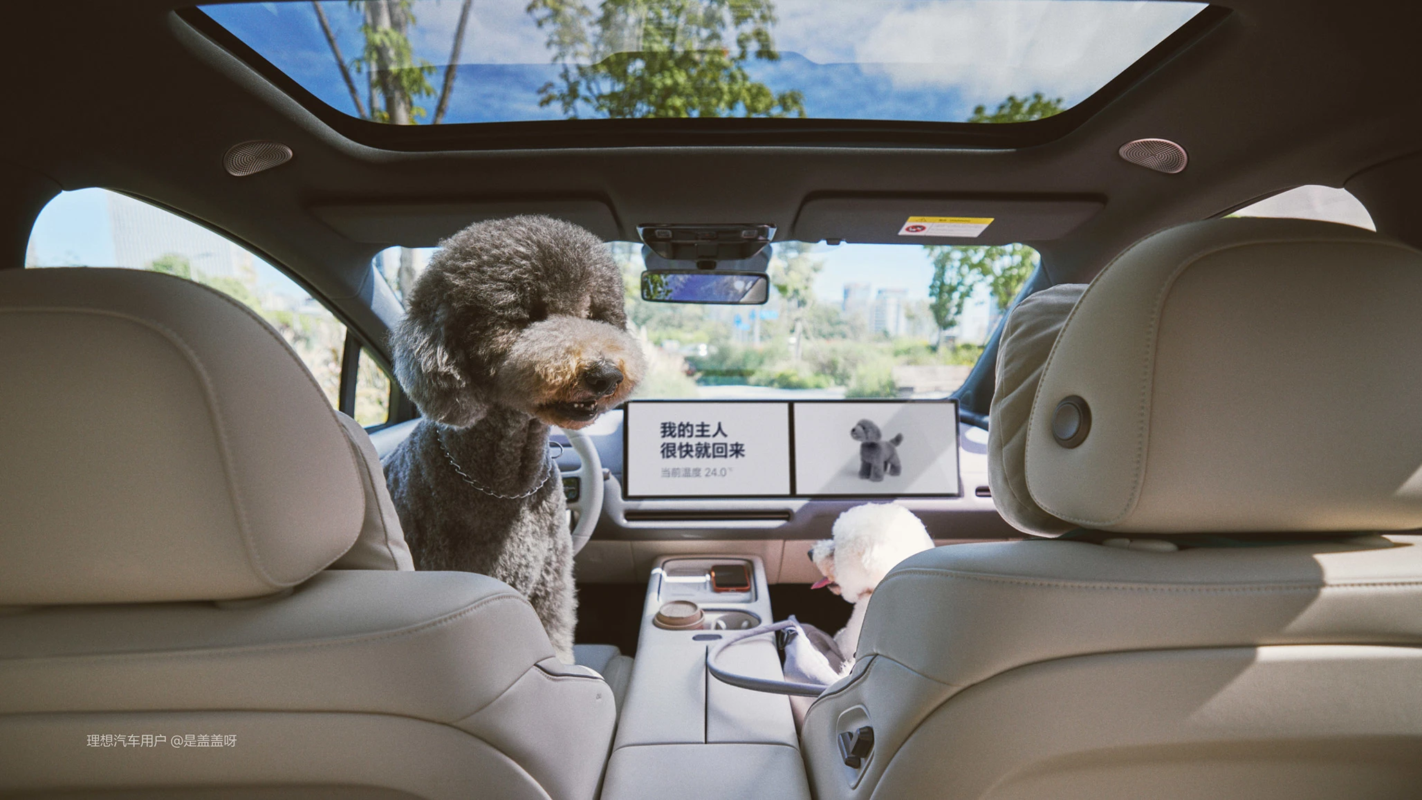 Li Auto i6 87.3 kWh AWD interior view