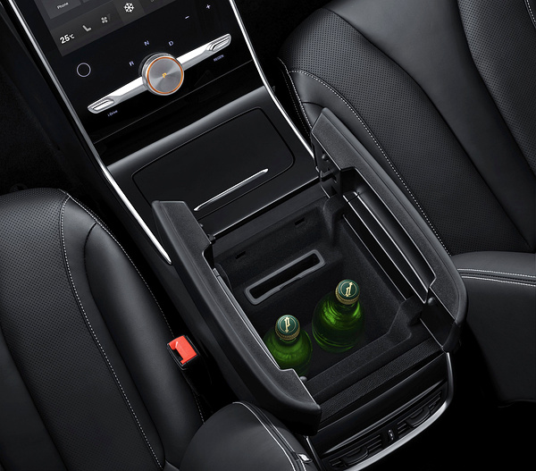 MG Marvel R Electric interior view