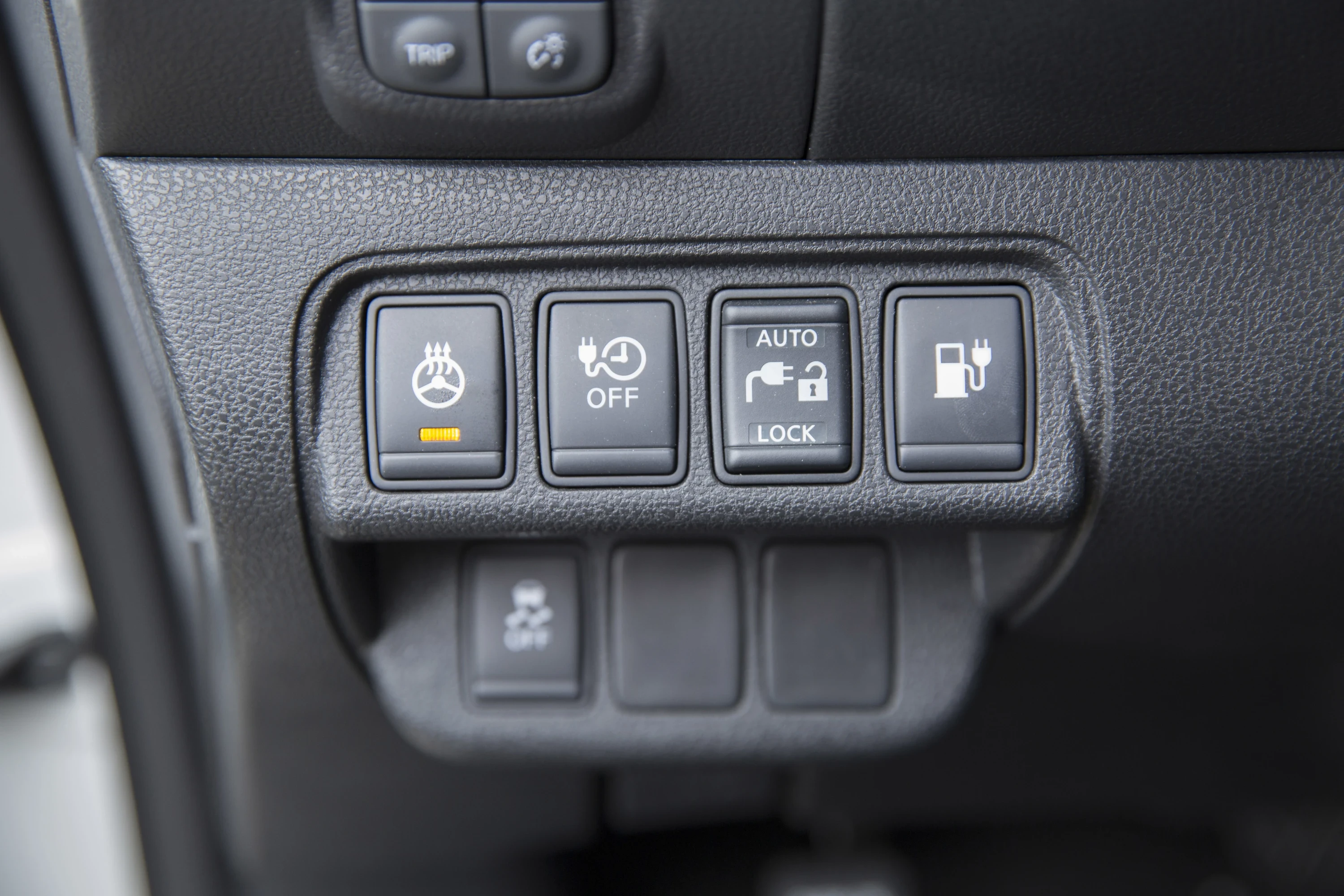 Nissan Leaf 30 kWh details view