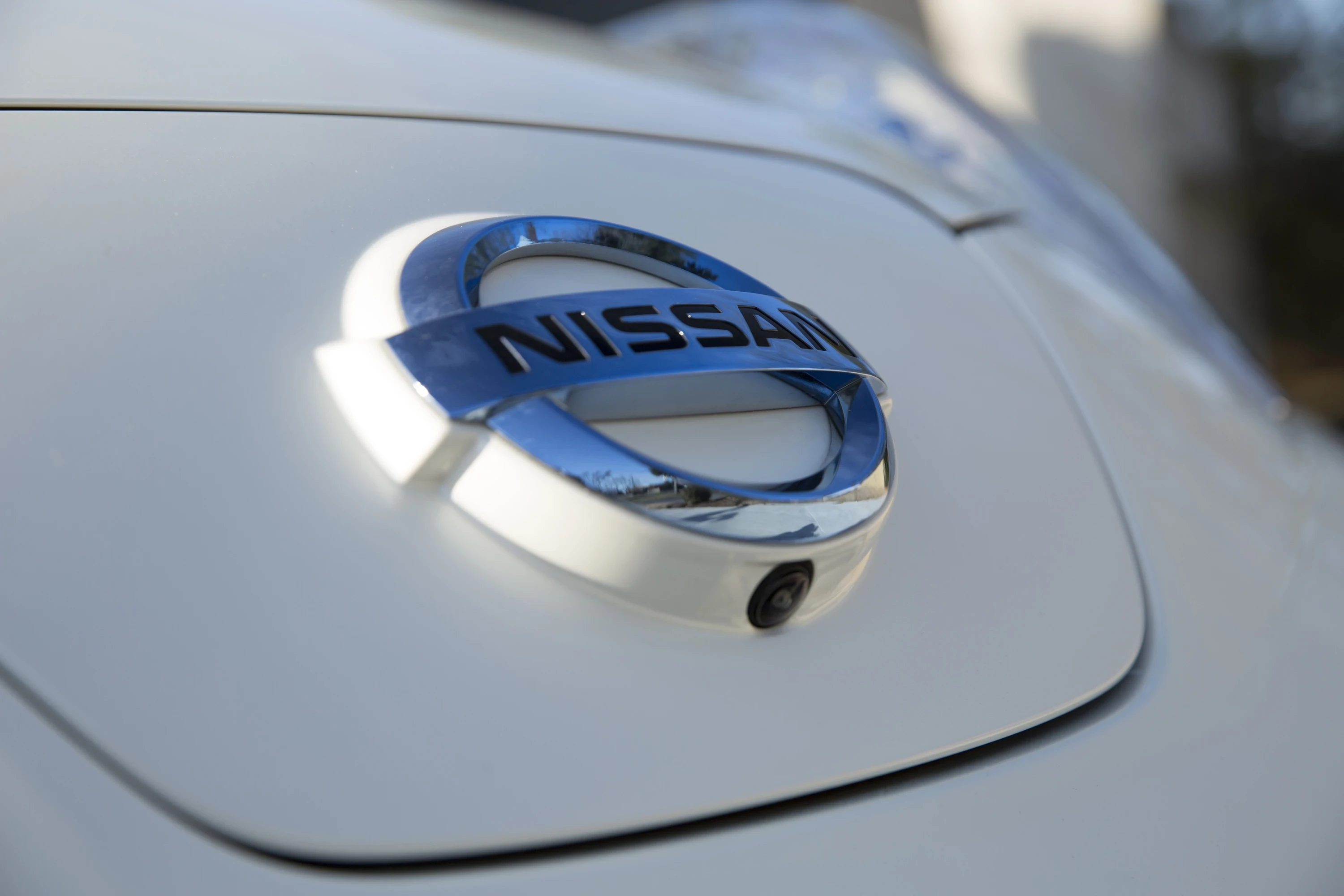 Nissan Leaf 30 kWh details view