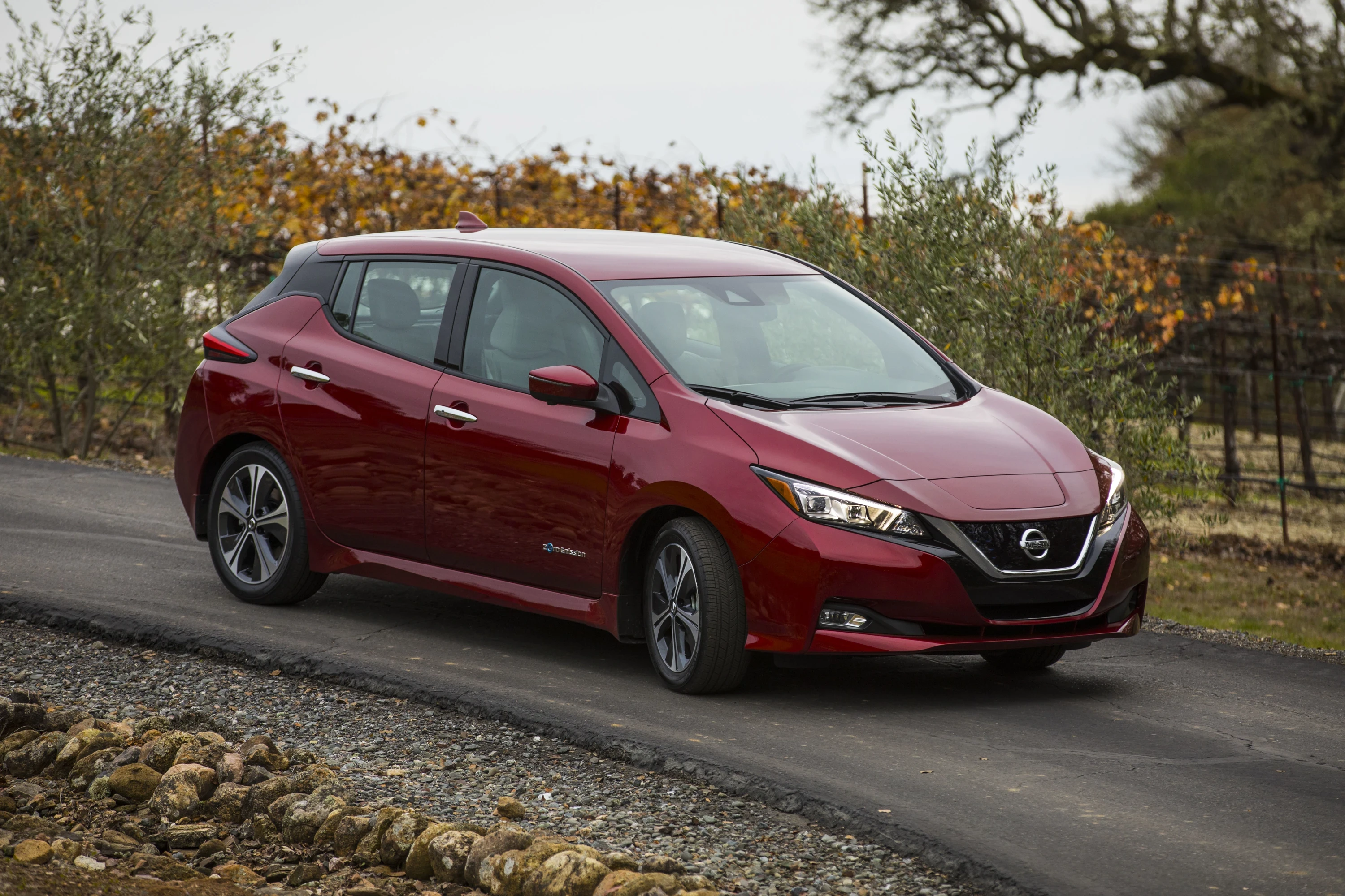 Nissan Leaf 40 kWh exterior view