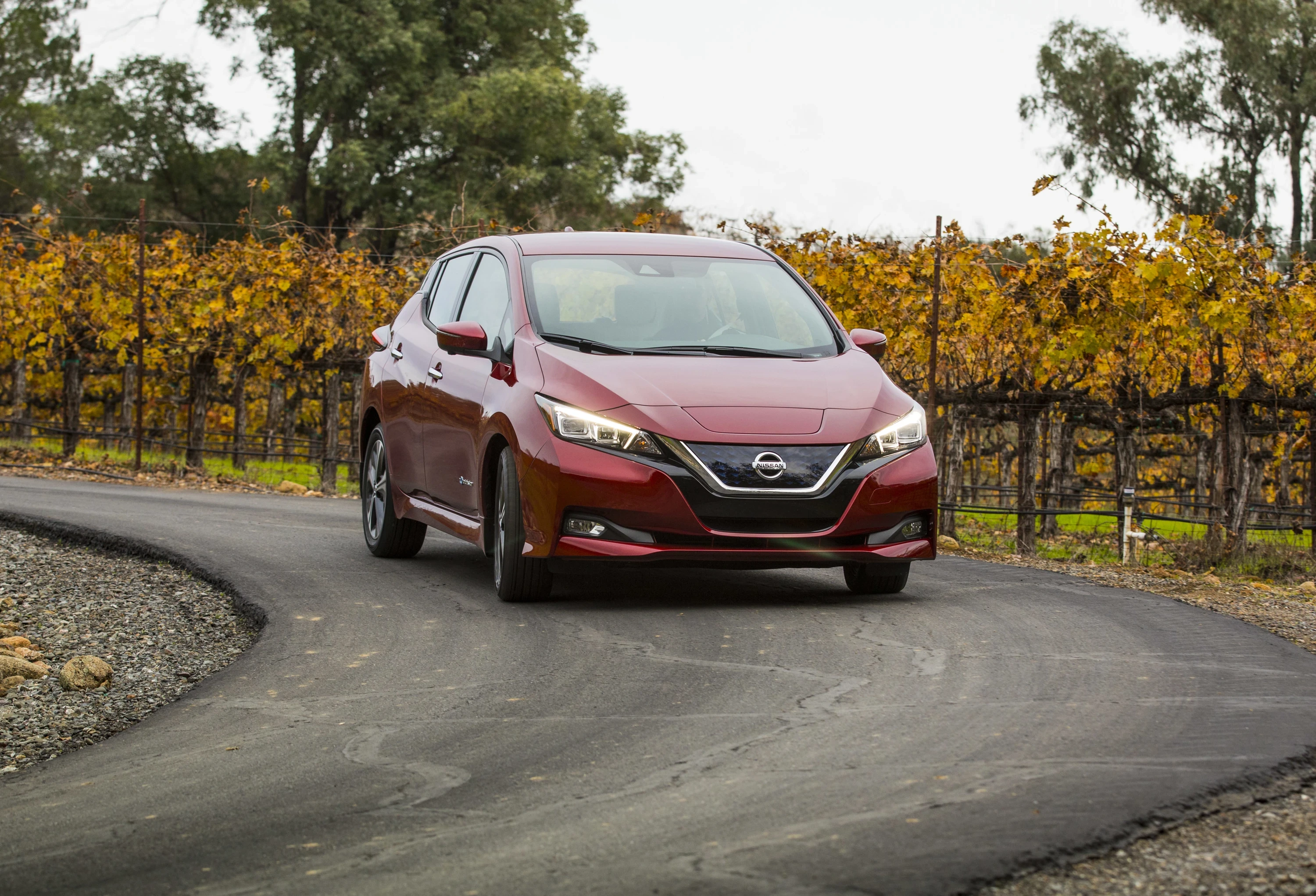 Nissan Leaf 40 kWh exterior view