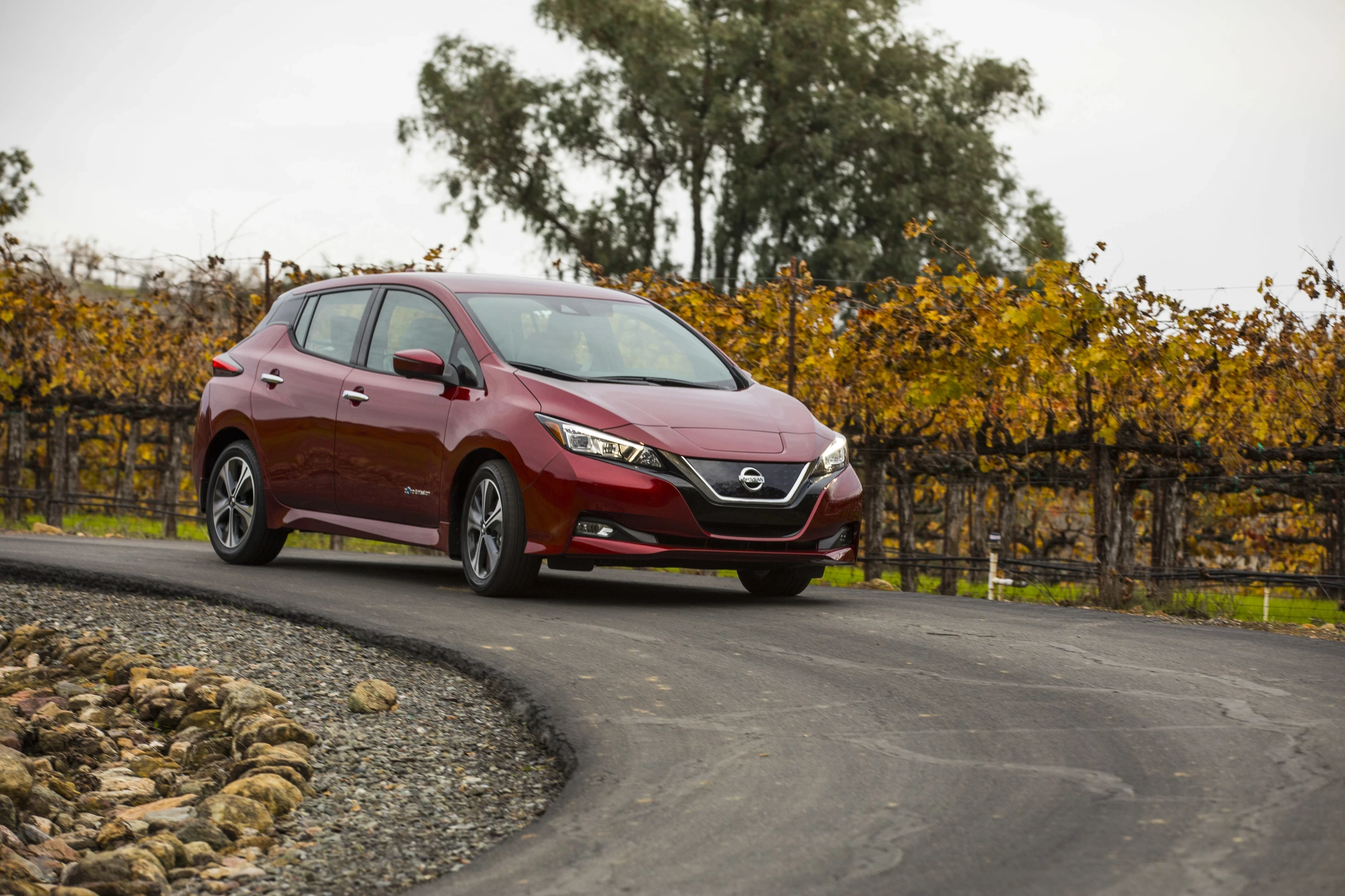 Nissan Leaf 40 kWh exterior view