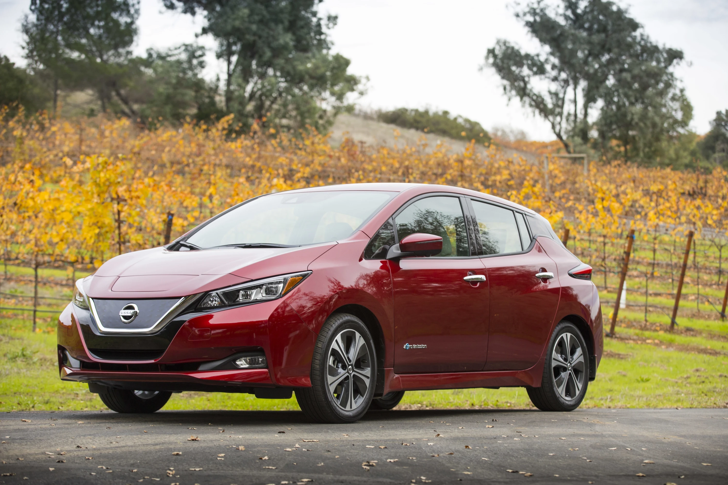 Nissan Leaf 40 kWh exterior view