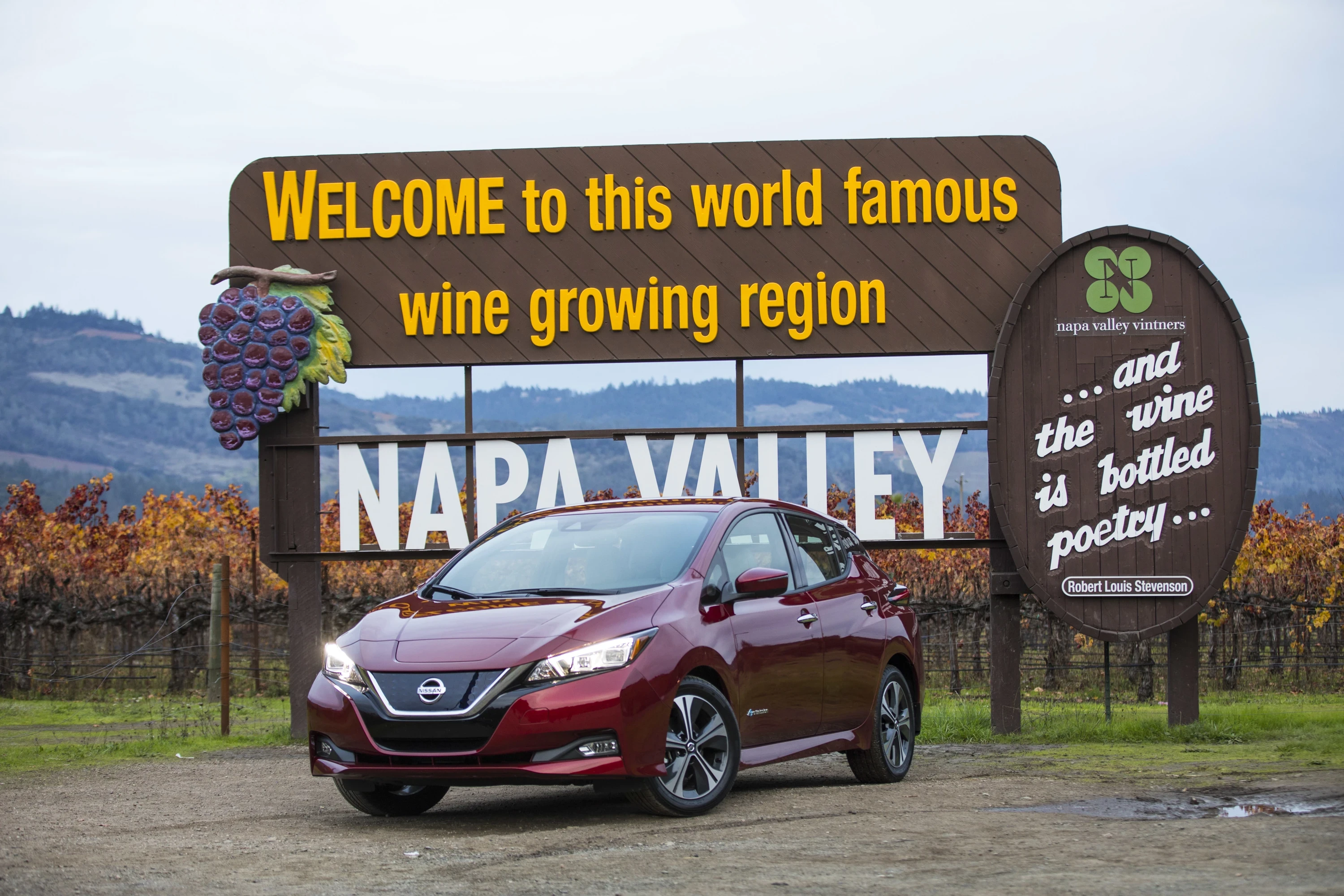 Nissan Leaf 40 kWh exterior view