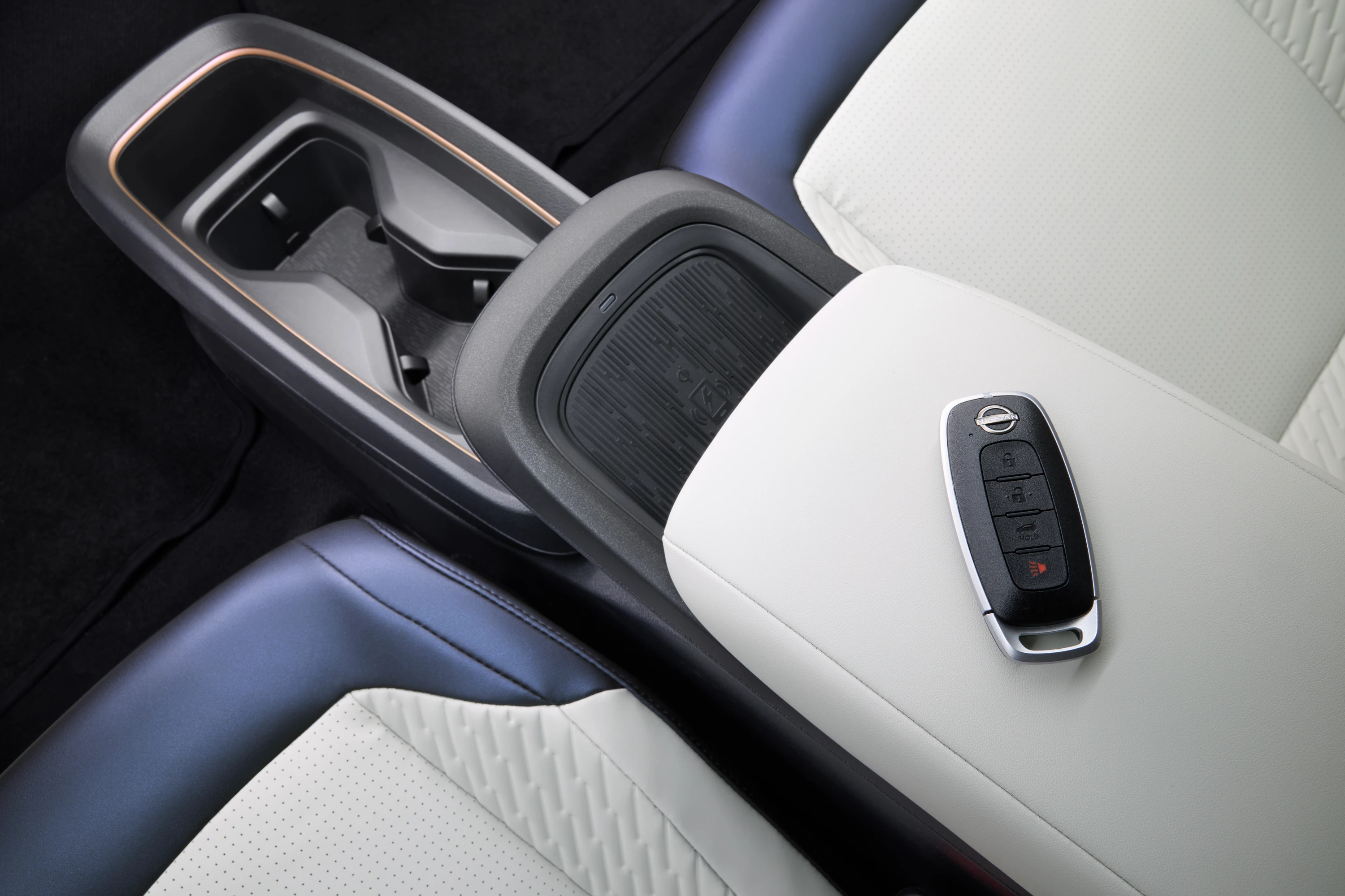 Nissan Leaf Long Range details view