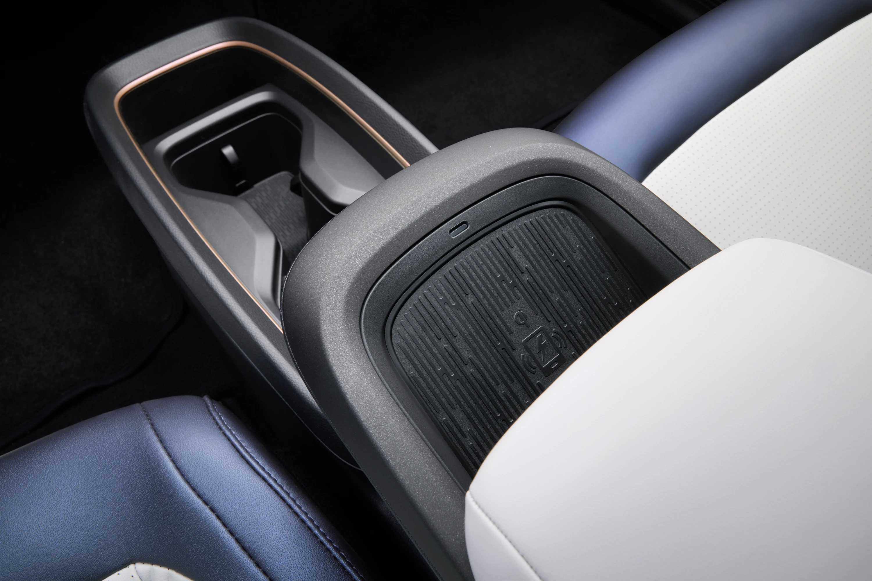 Nissan Leaf Long Range details view