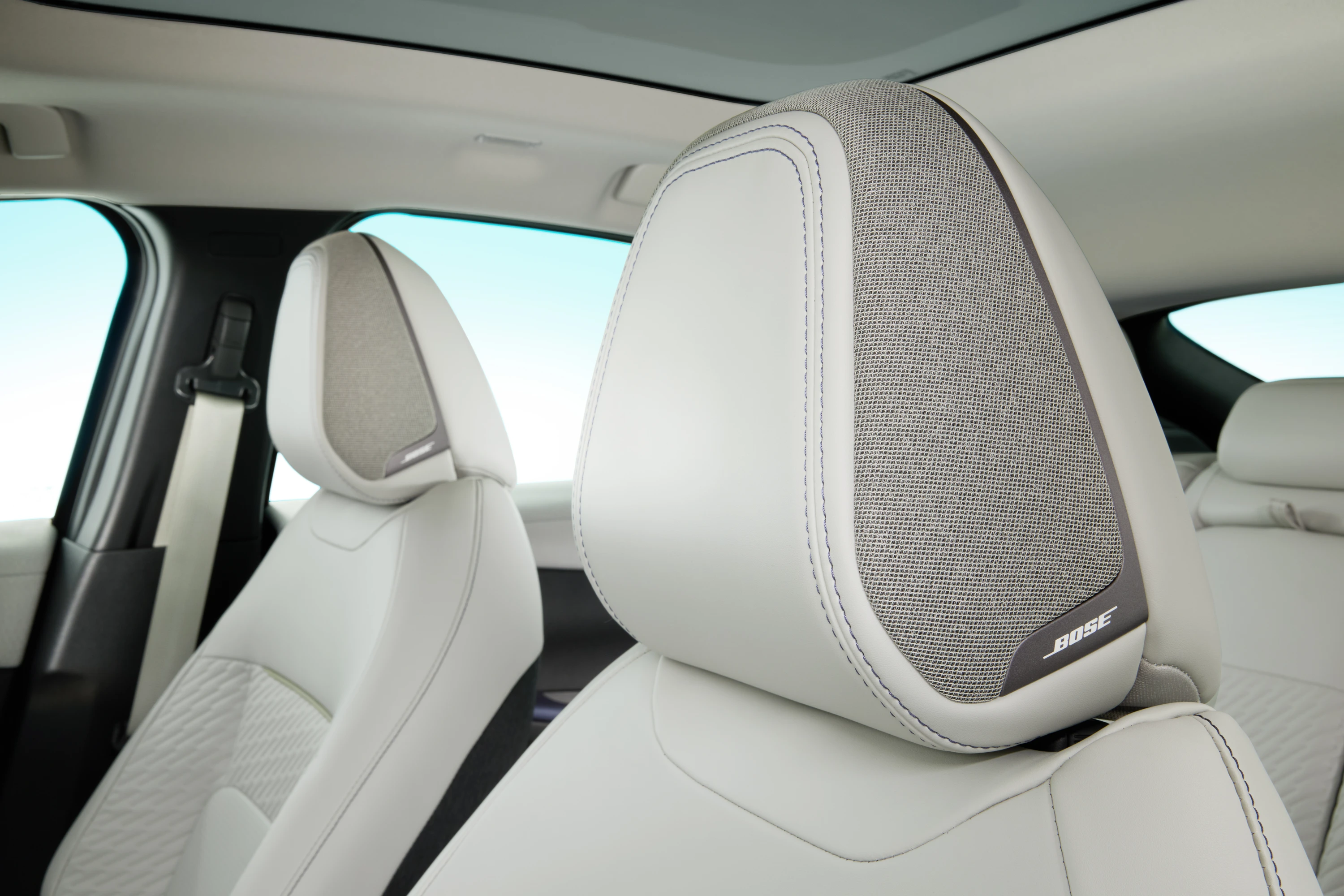 Nissan Leaf Long Range details view