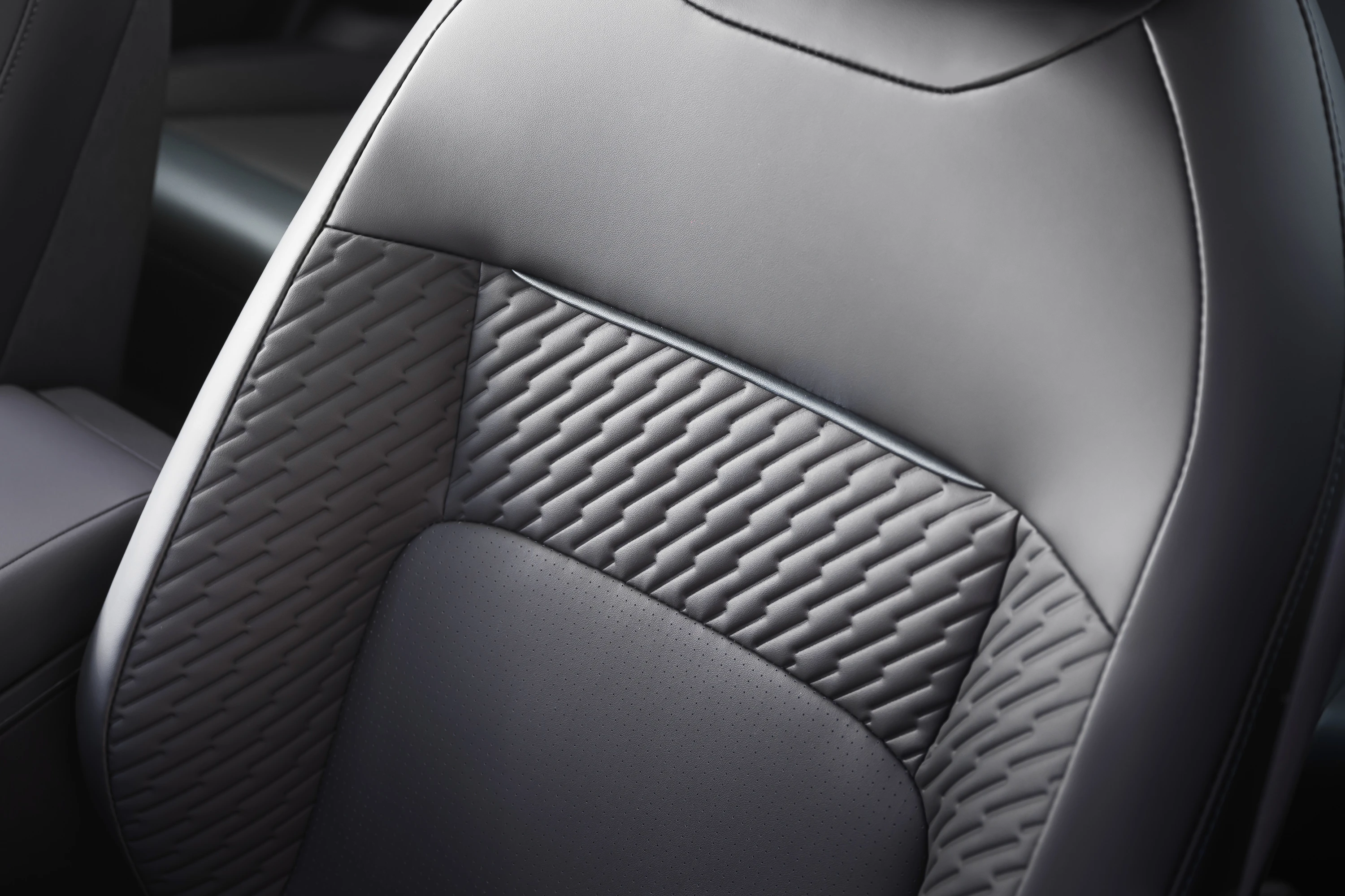 Nissan Leaf Long Range details view