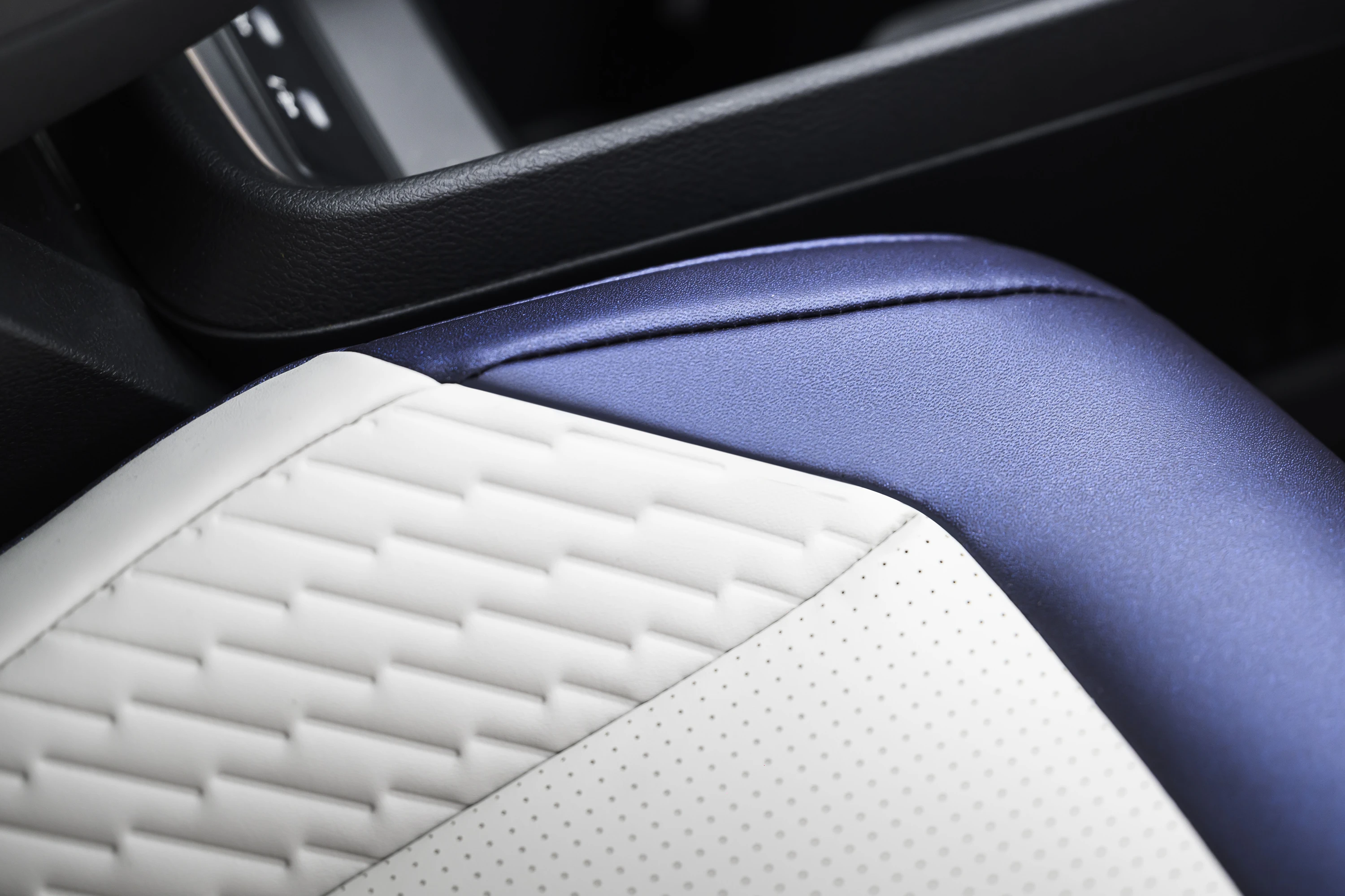 Nissan Leaf Long Range details view