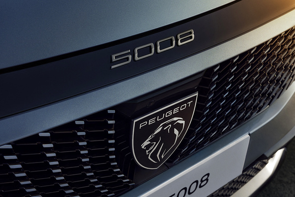 Peugot E-5008 Long Range details view