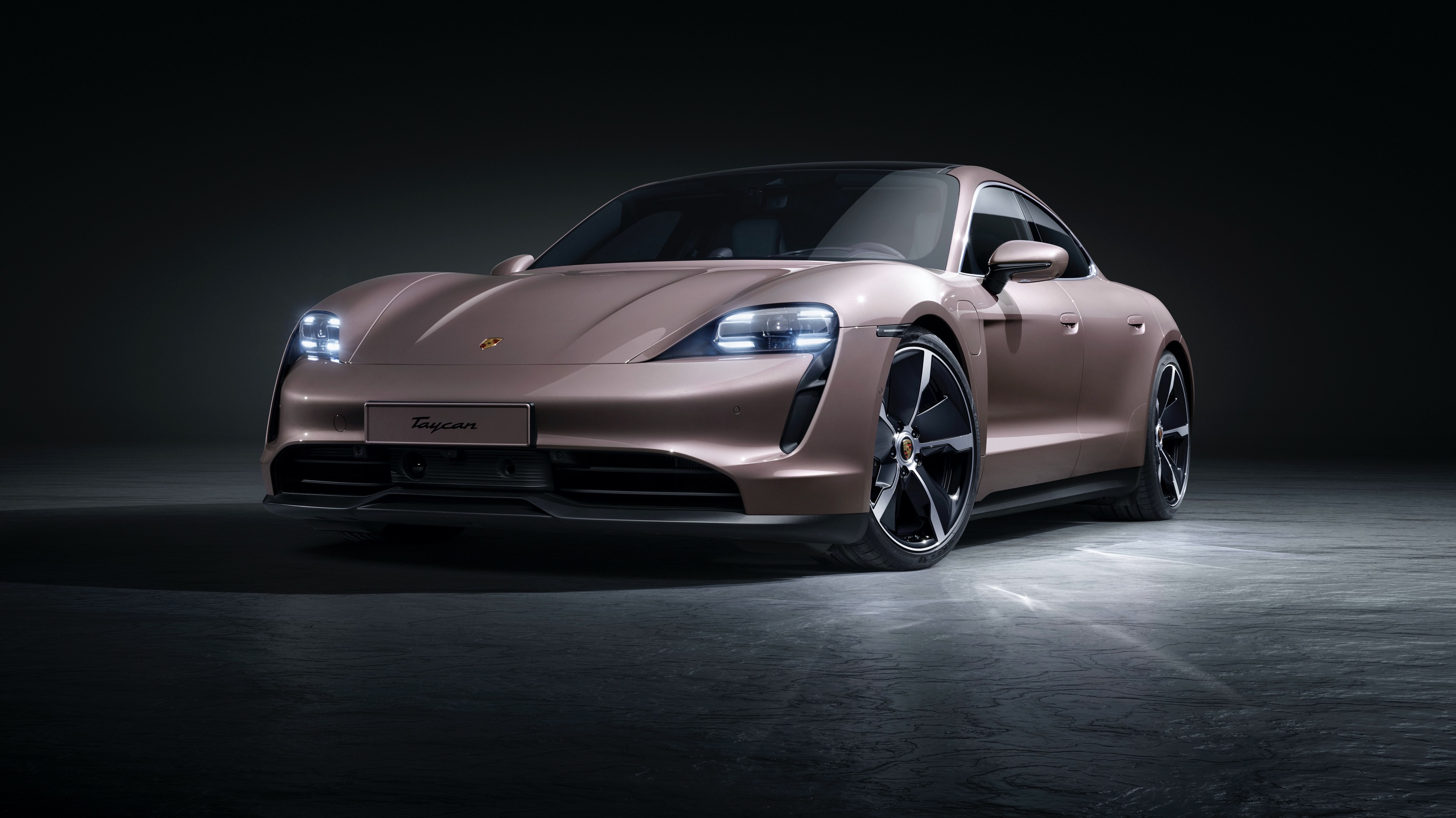 Porsche Taycan (GEN1) electric vehicle variant