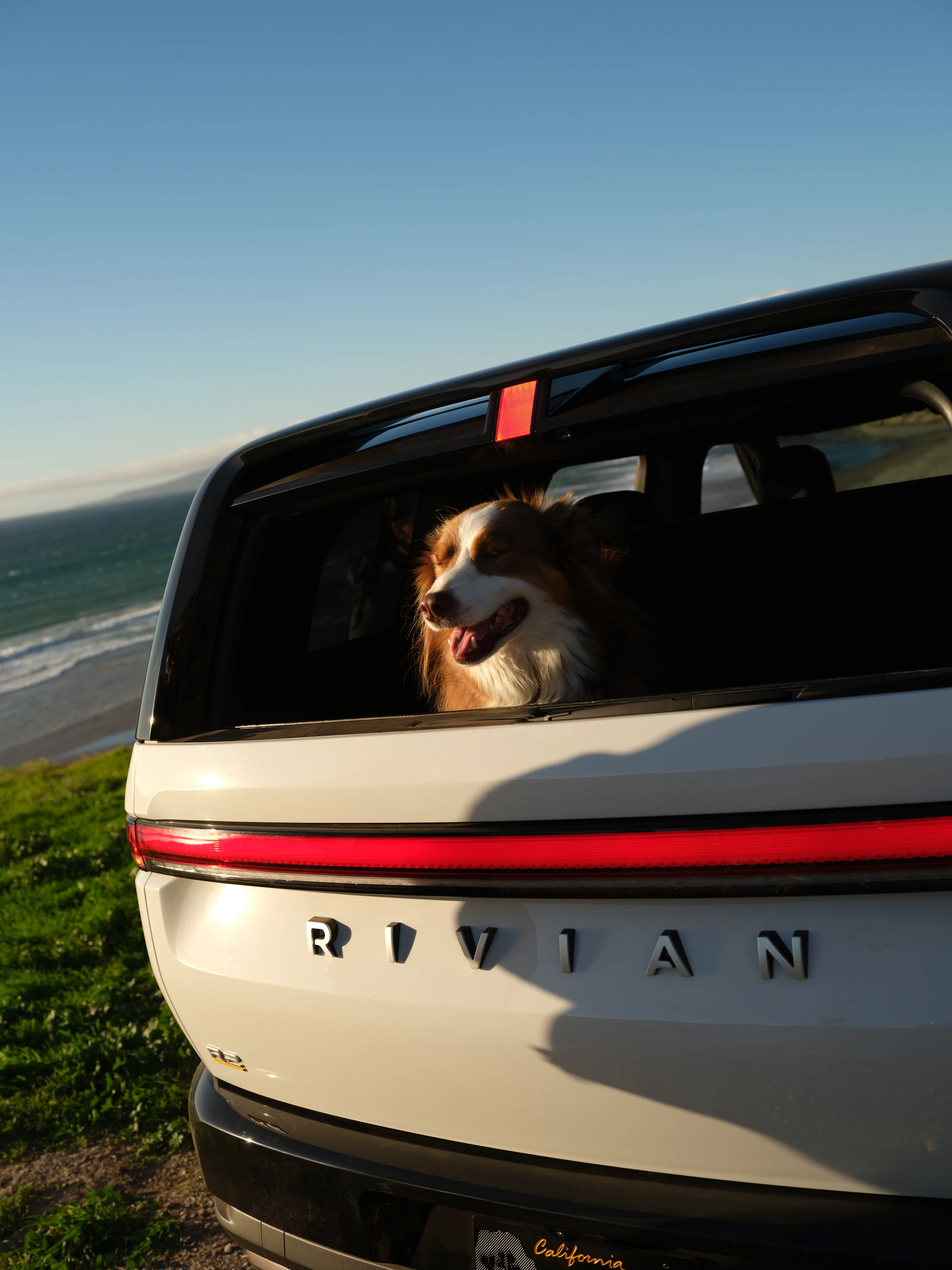 Rivian R2 Dual-Motor AWD Performance details view