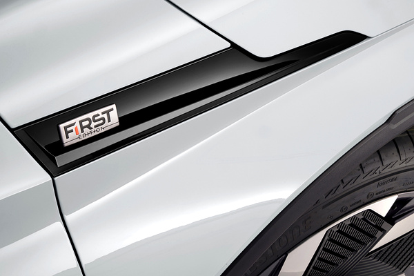 SKODA Elroq 85x details view