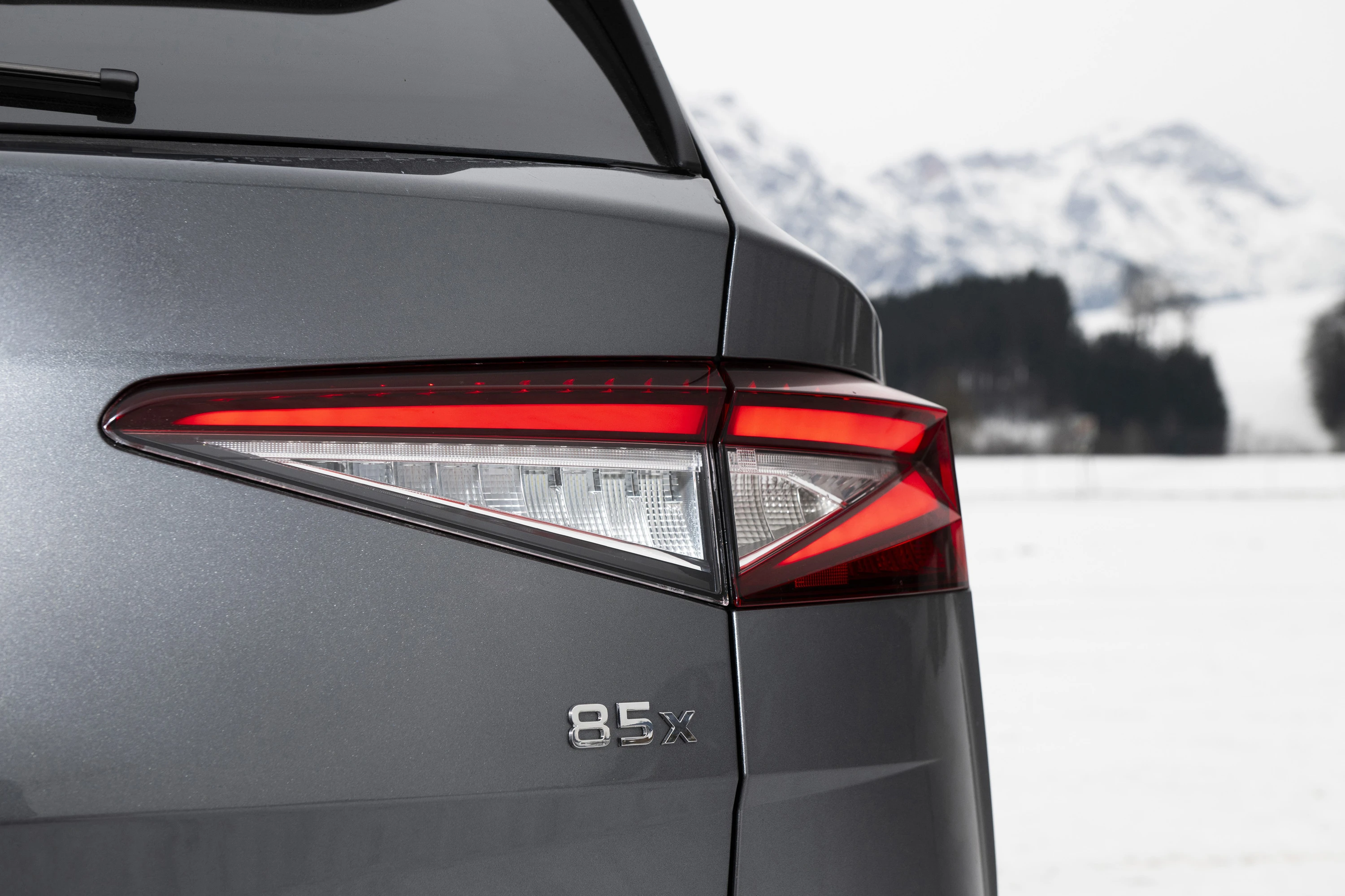 SKODA ENYAQ 85x (GEN1) details view