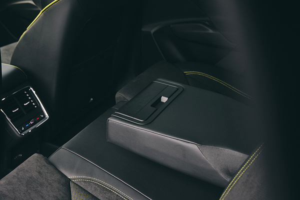 SKODA Enyaq RS details view