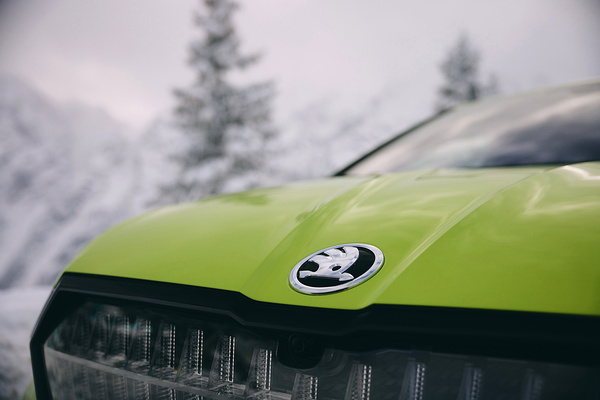 SKODA Enyaq RS details view
