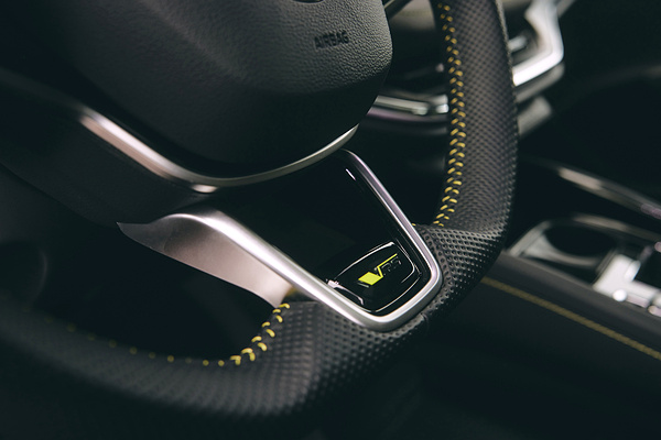 SKODA Enyaq RS dretails view