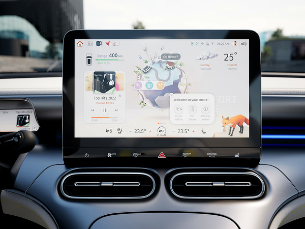 Smart #1 screens view