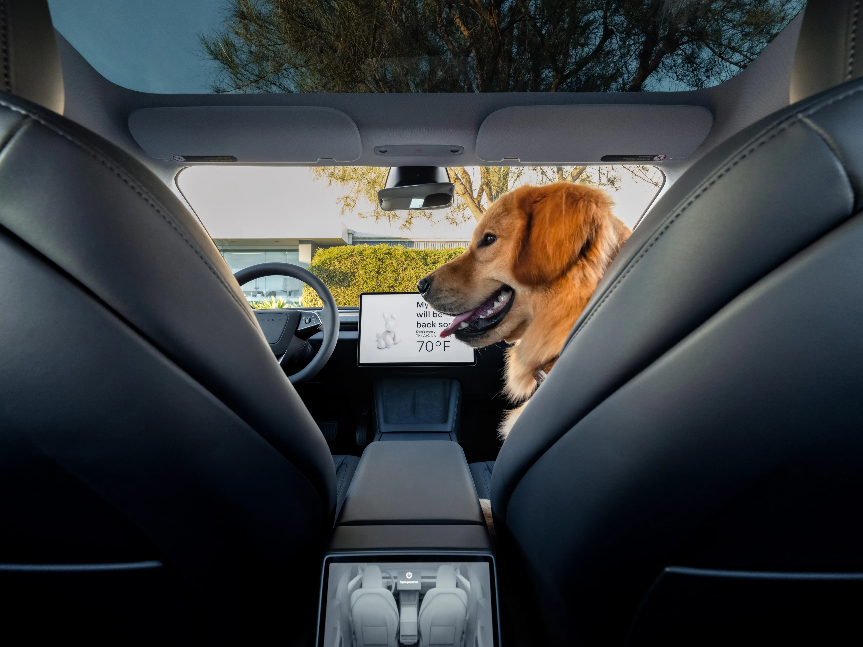Tesla Model 3 Long Range interior view