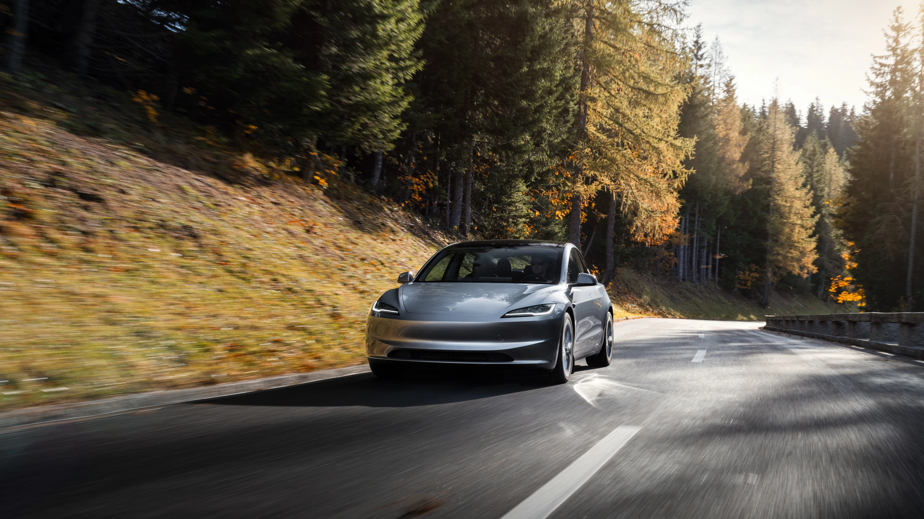 Tesla Model 3 Long Range RWD dynamic view