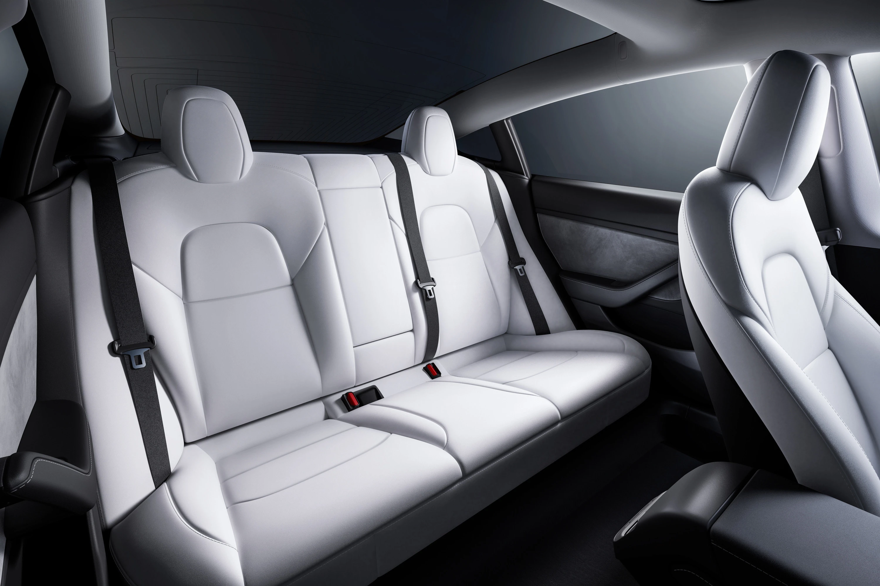 Tesla Model 3 Performance (GEN1) secondrowseats view