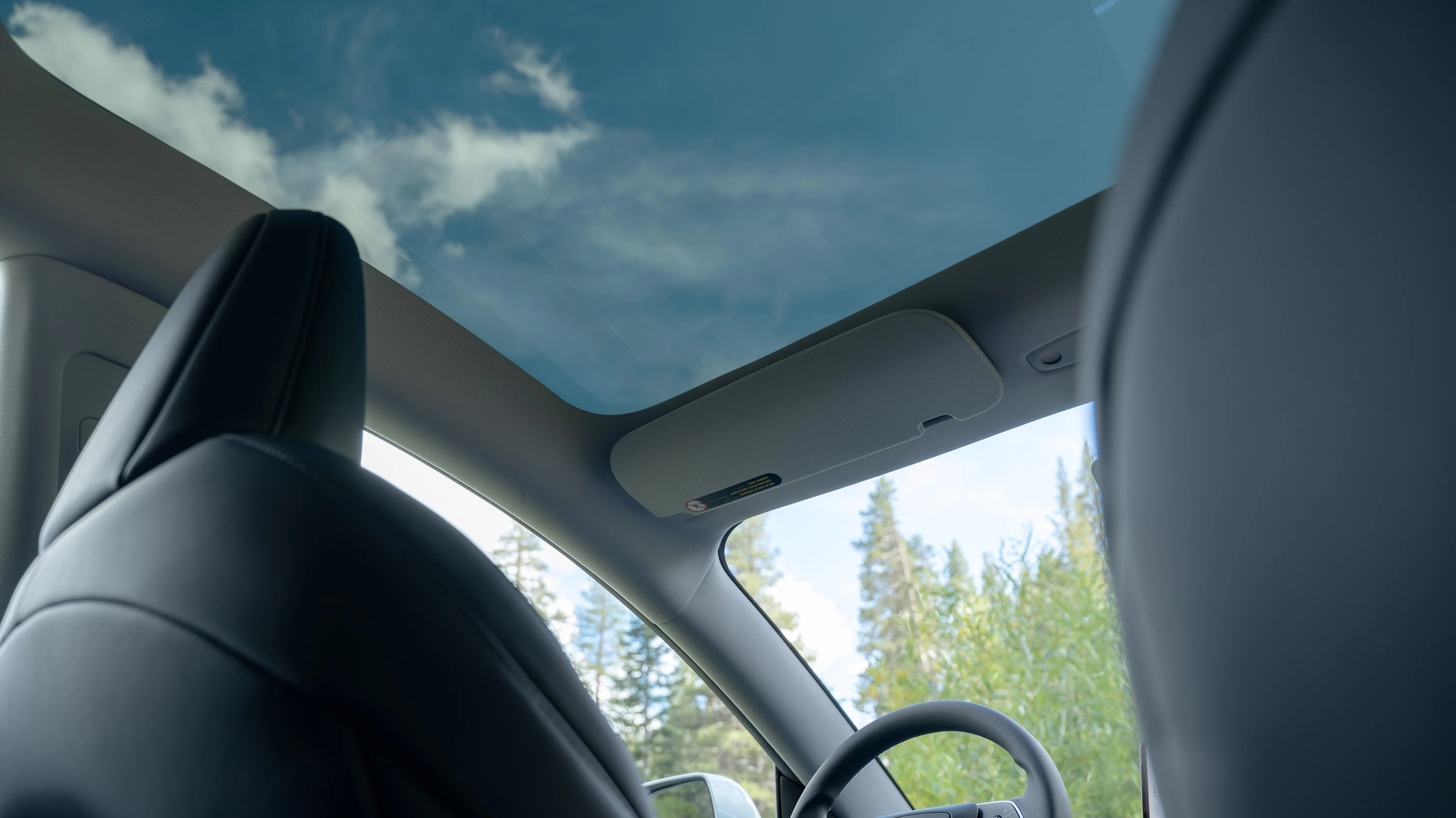 Tesla Model 3 Standard roof view