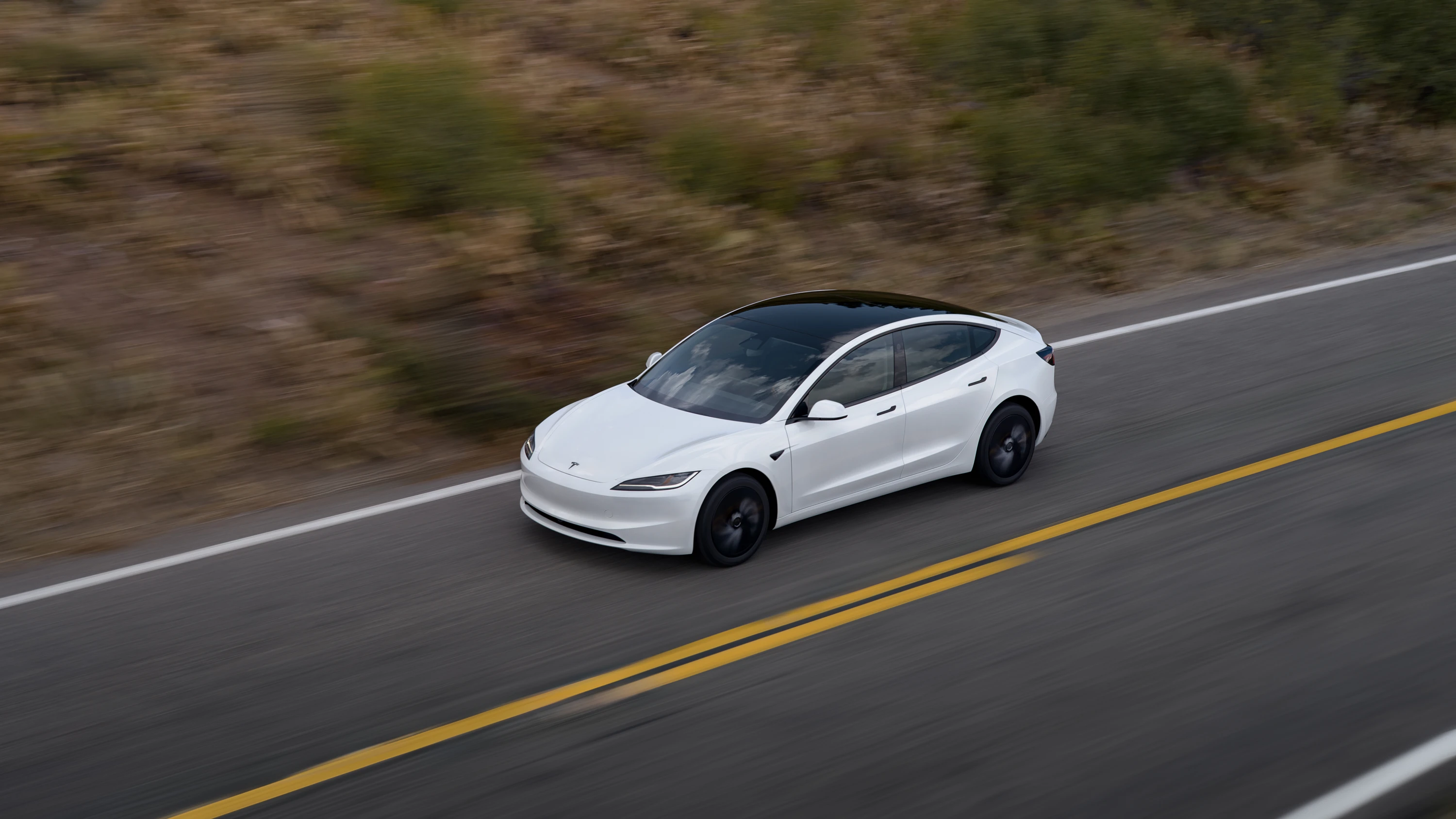 Tesla Model 3 Standard dynamic view