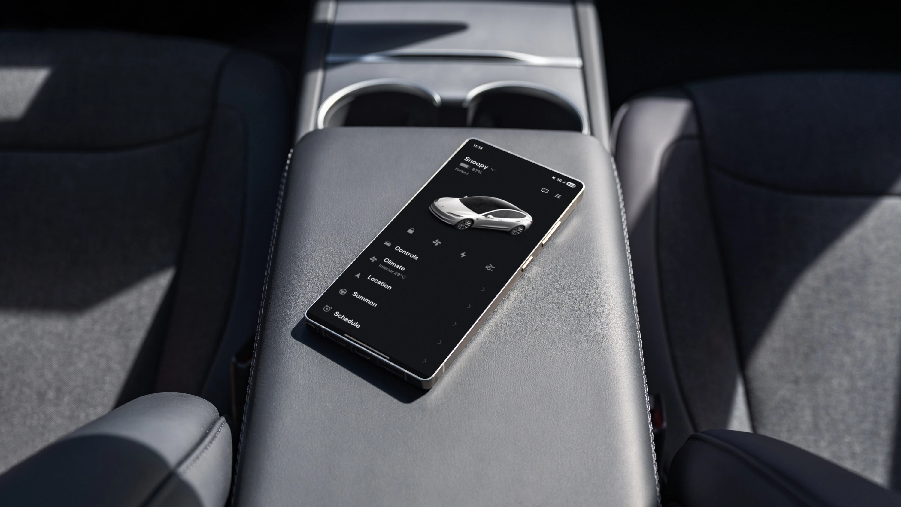 Tesla Model 3 Standard details view
